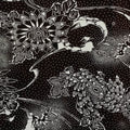 Antique Japanese Ise Katagami Paper Kimono Stencil Katazome Chrysanthemums A829