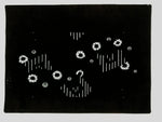 Antique Japanese Ise Katagami Paper Kimono Stencil Katazome Flower Design A823