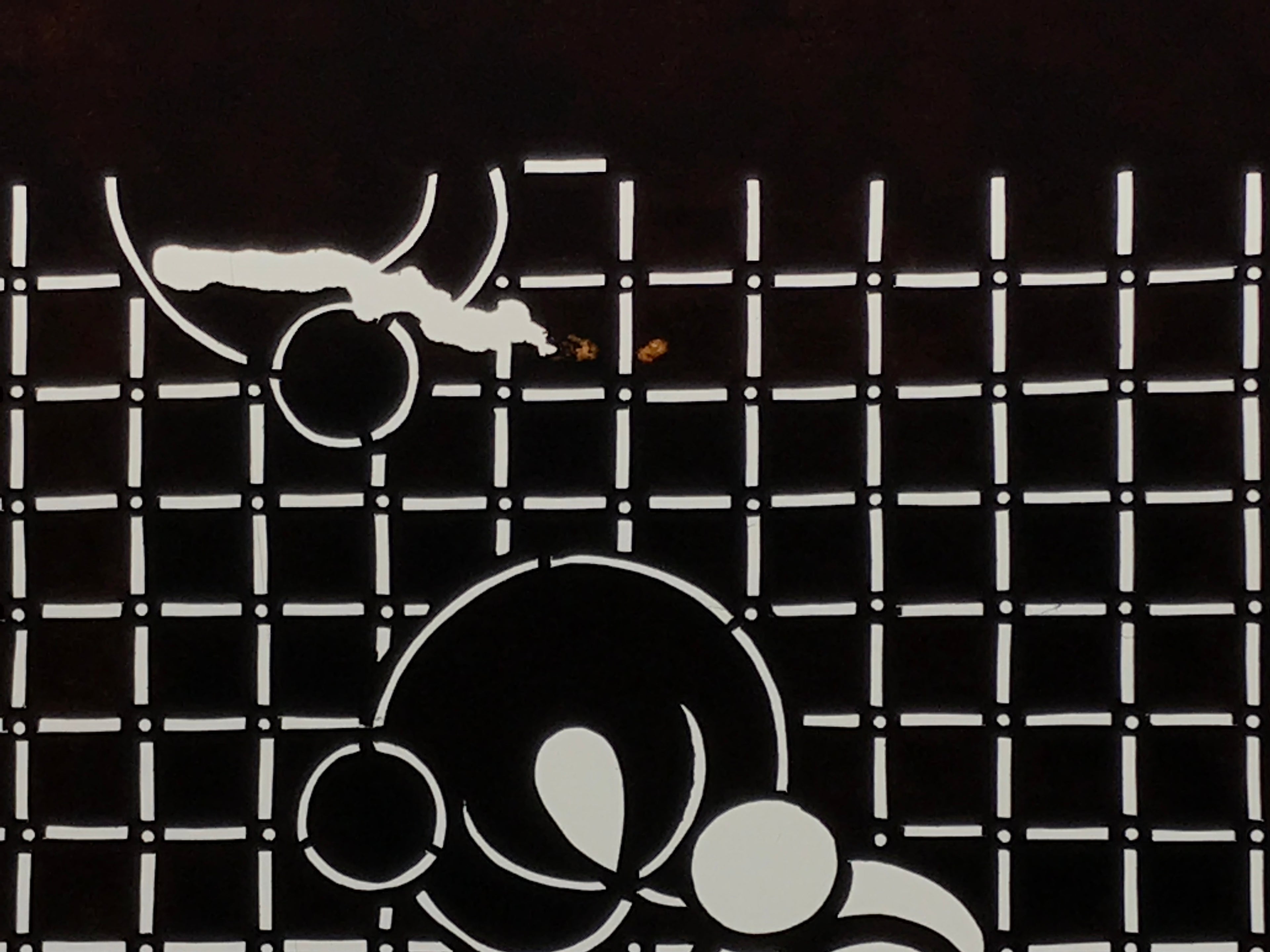 Antique Japanese Ise Katagami Paper Kimono Stencil Katazome Fruit Flowers A830