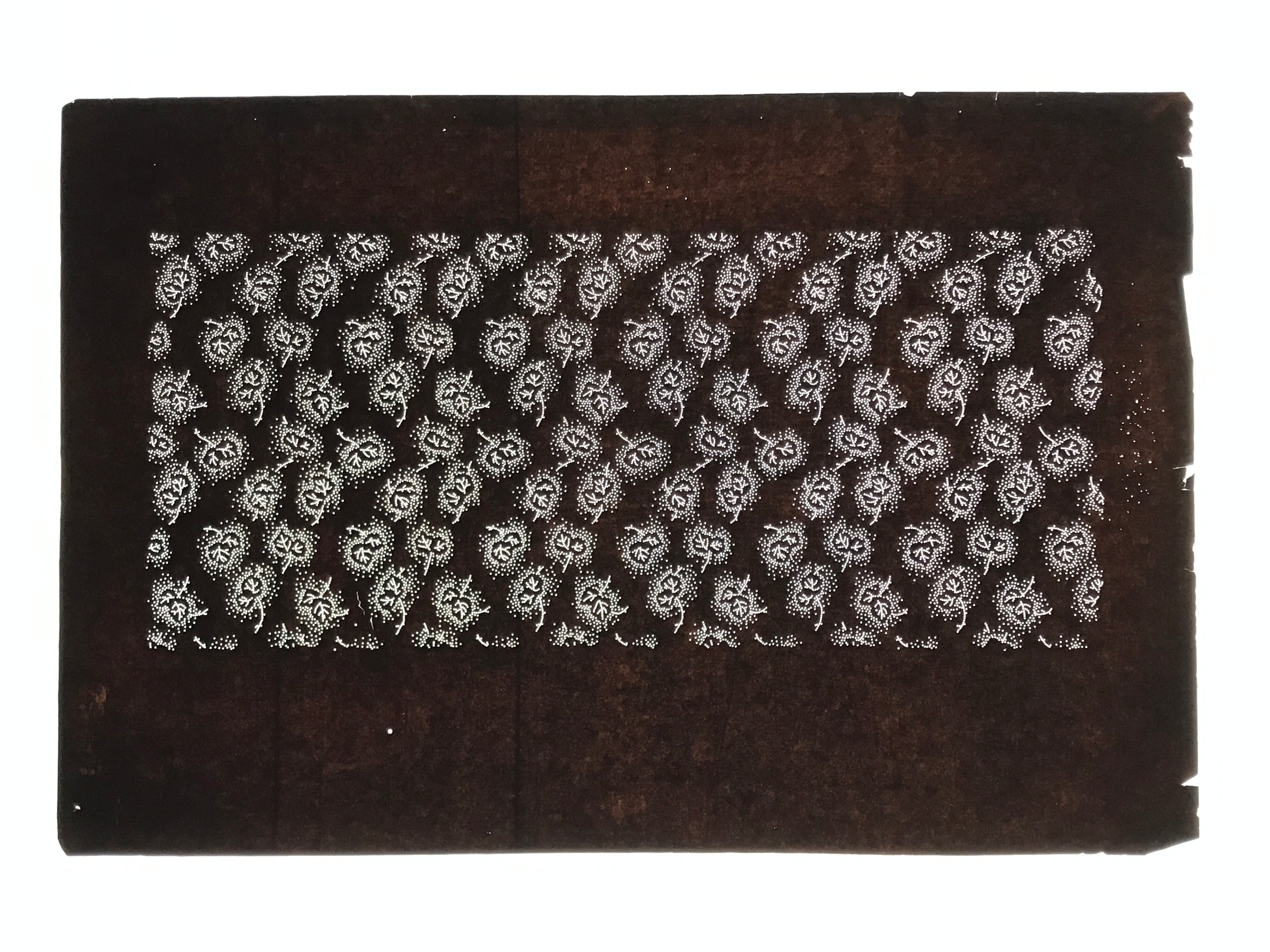 Antique Japanese Ise Katagami Paper Kimono Stencil Katazome Plant Leaves A852