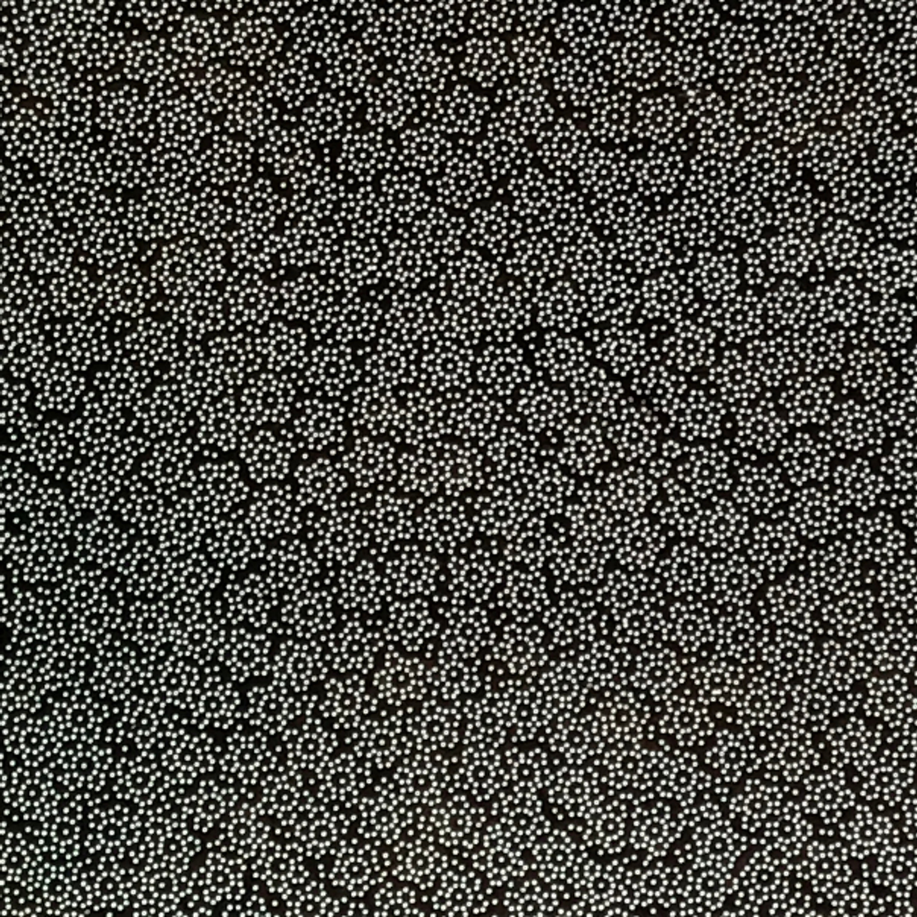 Antique Japanese Ise Katagami Paper Kimono Stencil Katazome Plum Blossoms A831
