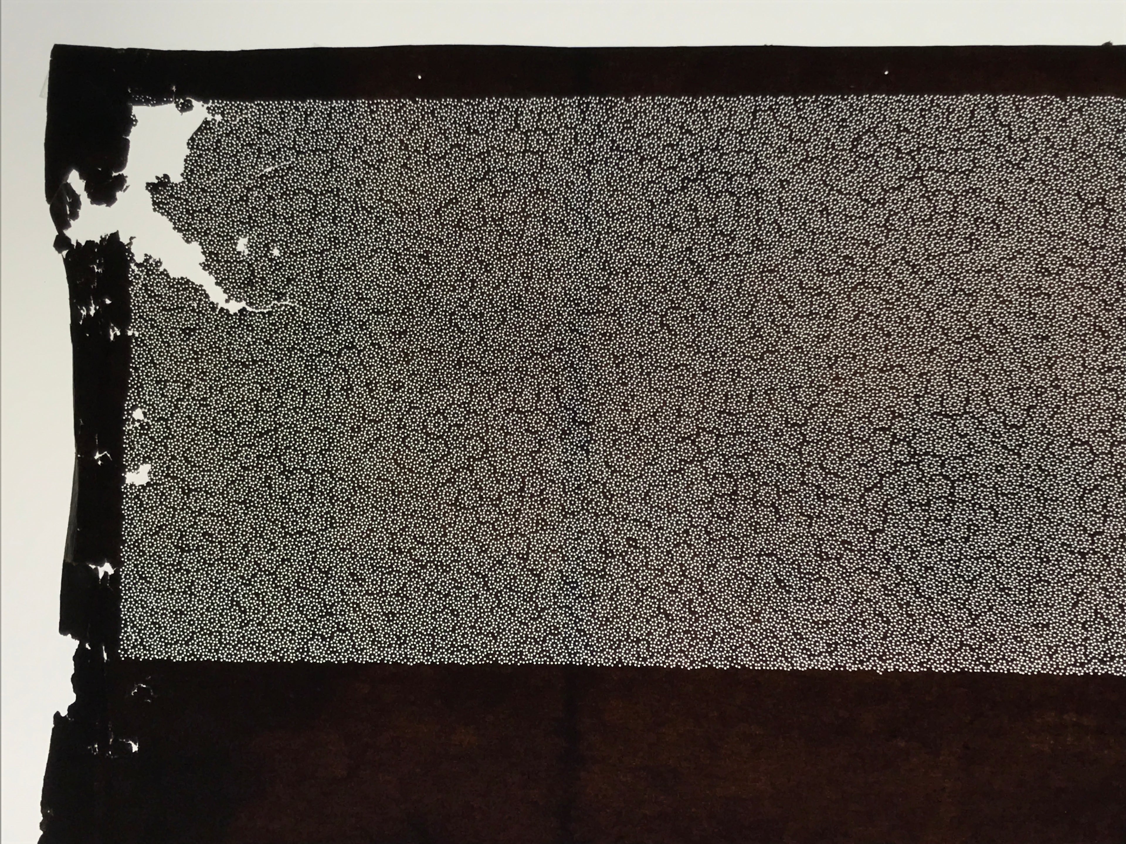 Antique Japanese Ise Katagami Paper Kimono Stencil Katazome Plum Blossoms A831
