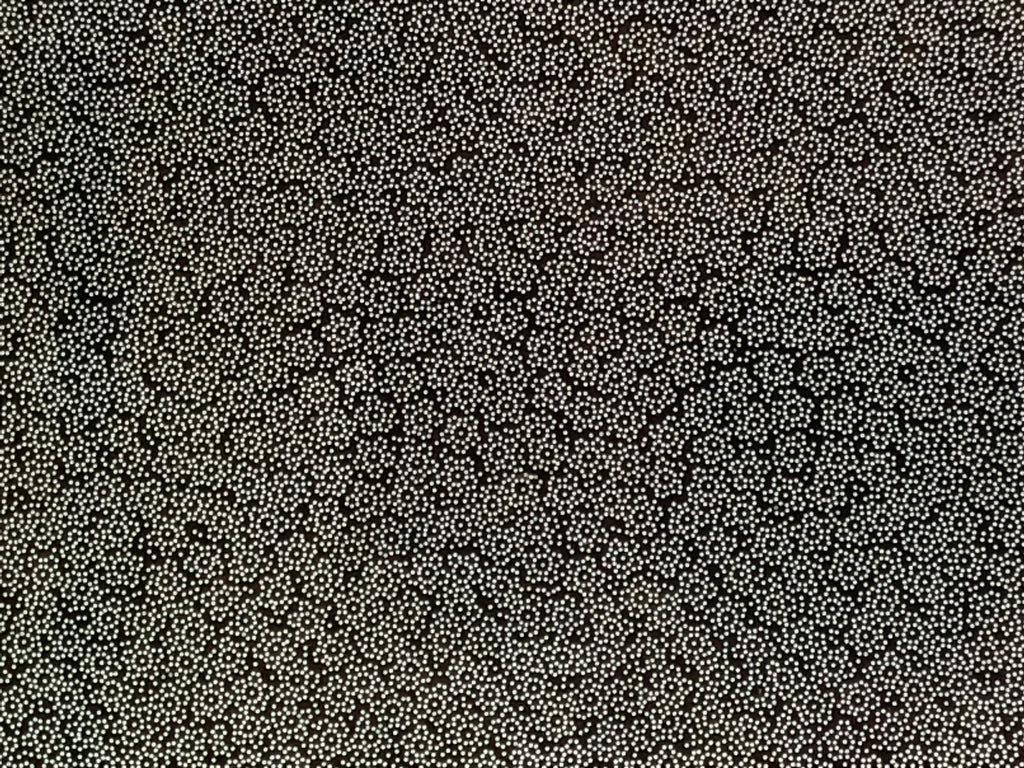 Antique Japanese Ise Katagami Paper Kimono Stencil Katazome Plum Blossoms A831