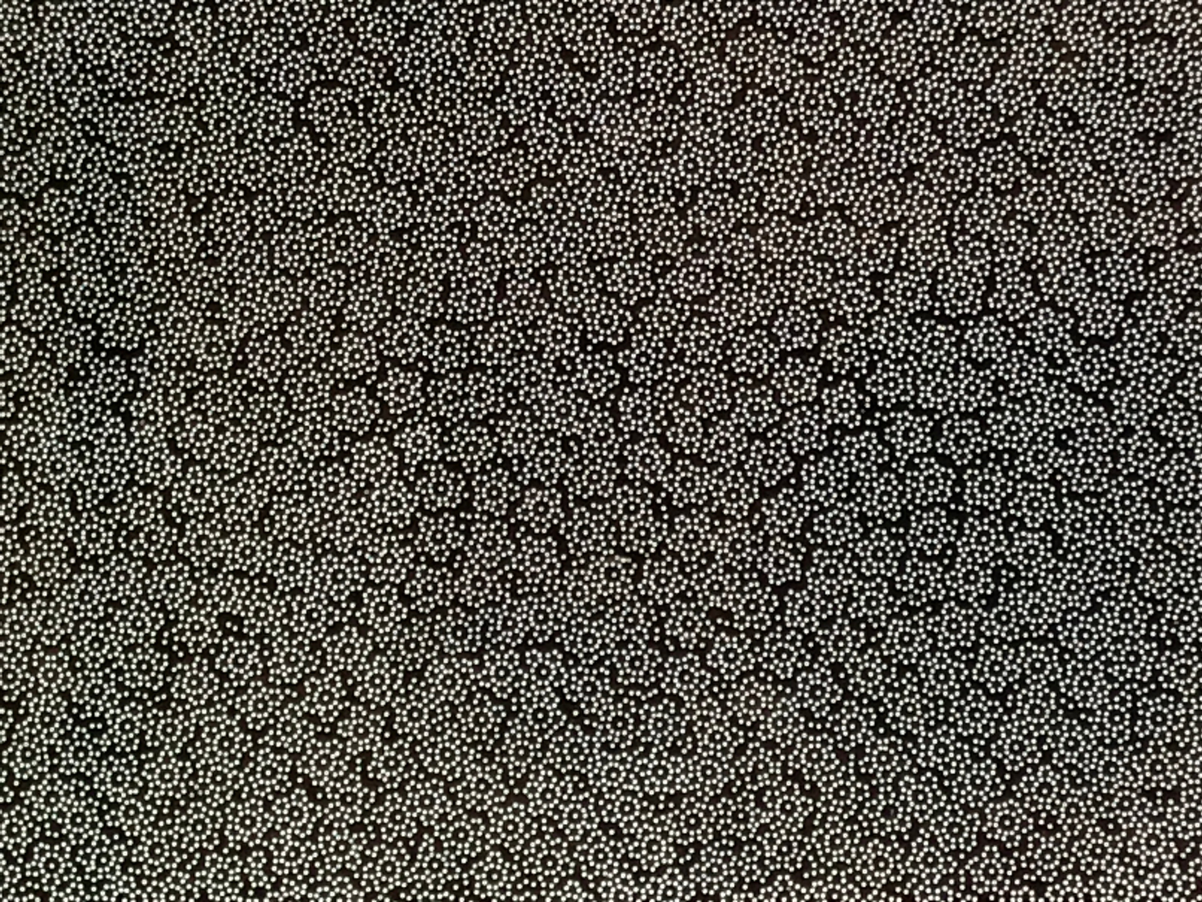Antique Japanese Ise Katagami Paper Kimono Stencil Katazome Plum Blossoms A831