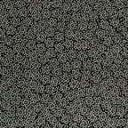 Antique Japanese Ise Katagami Paper Kimono Stencil Katazome Plum Blossoms A831