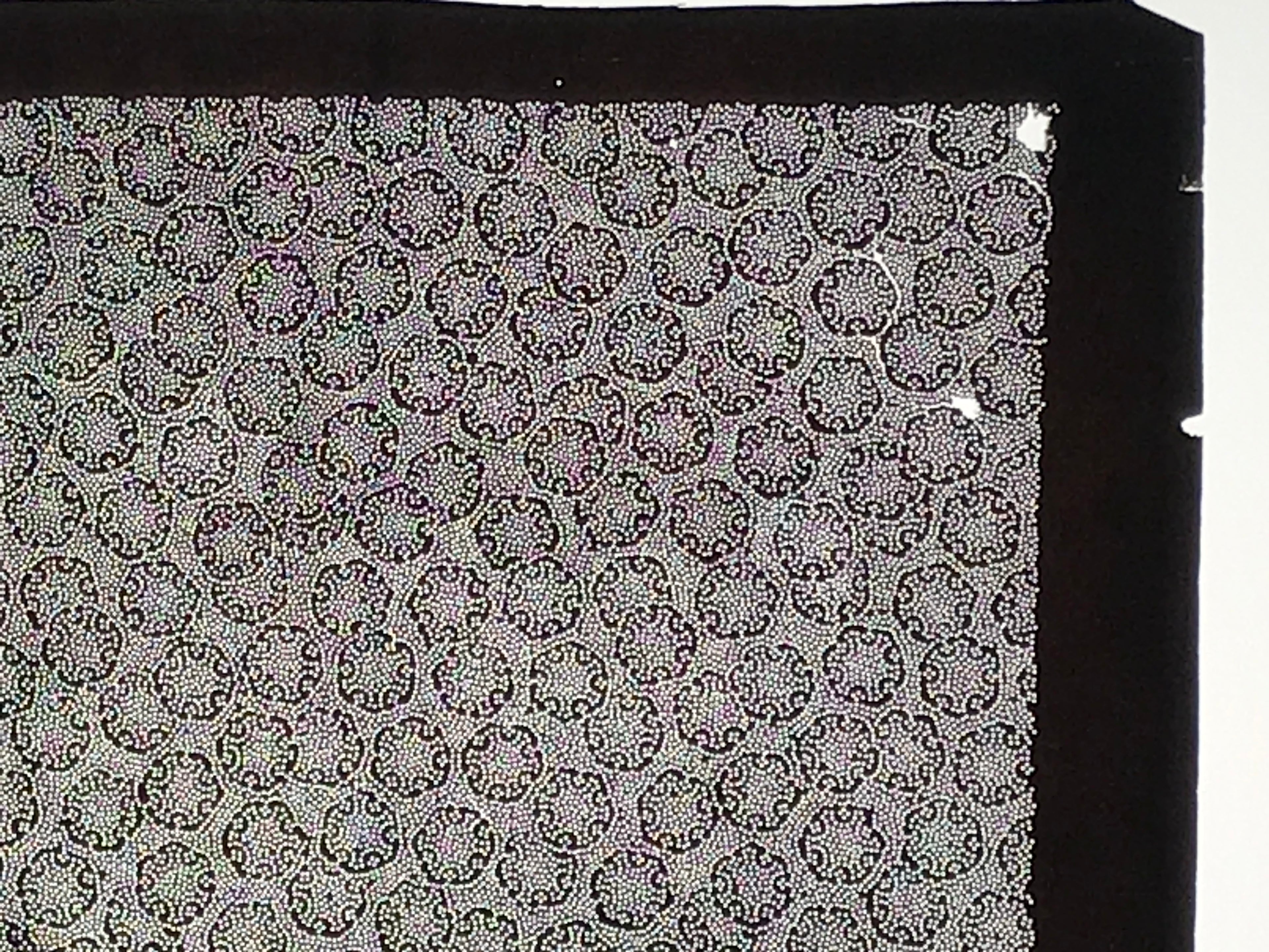 Antique Japanese Ise Katagami Paper Kimono Stencil Snowflake Yukiwa Design A832