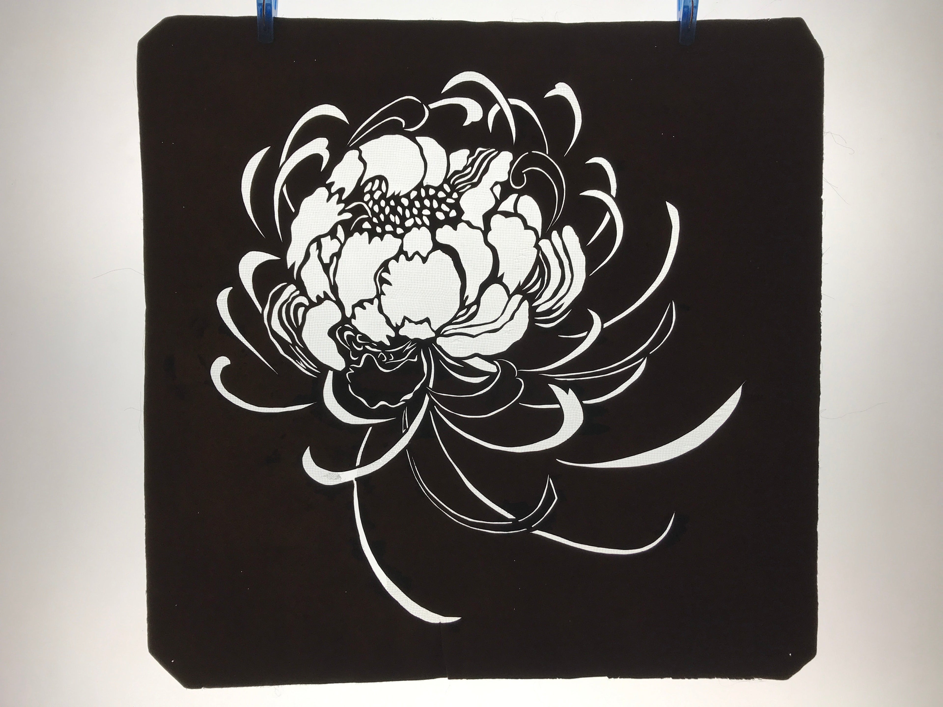 Antique Japanese Katagami Kimono Paper Stencil Katazome Chrysanthemum 4Y581
