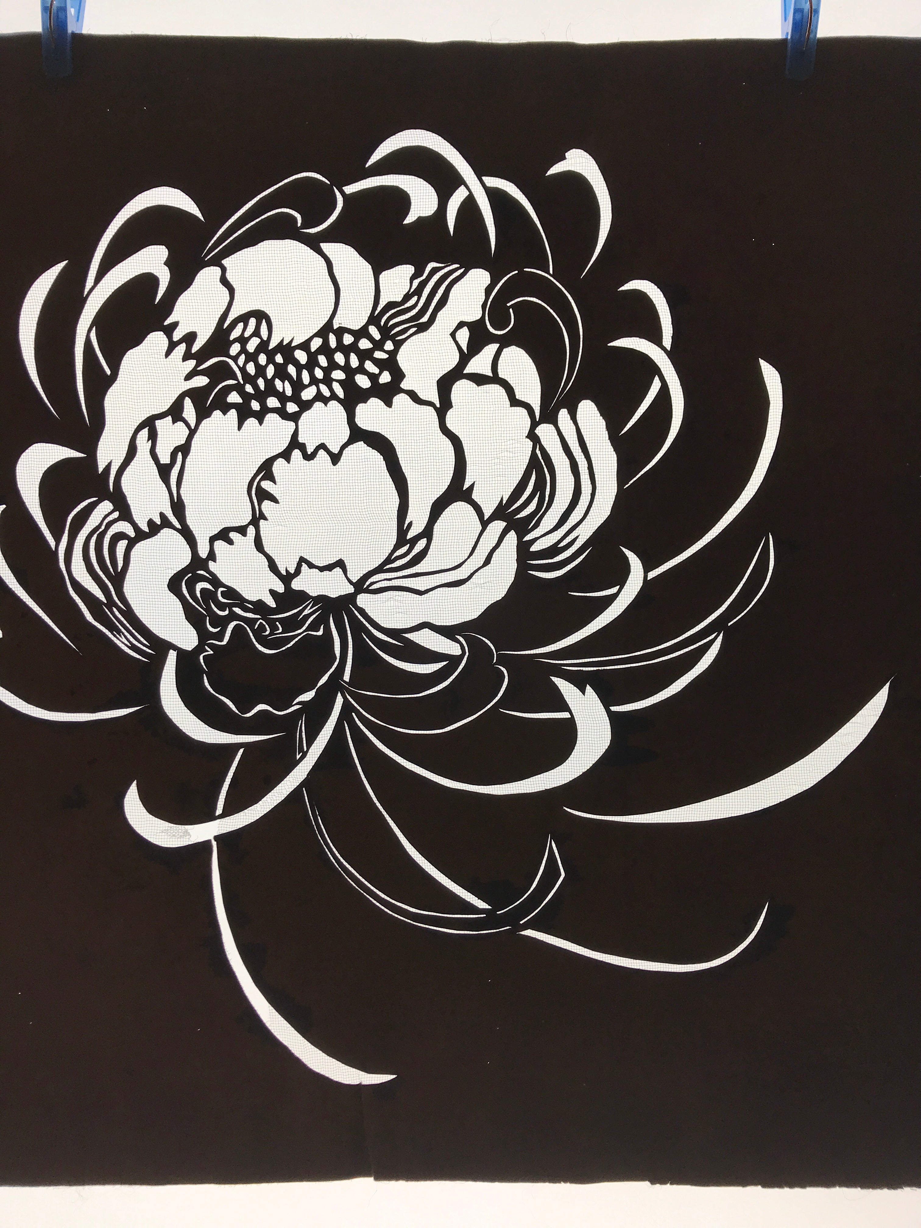 Antique Japanese Katagami Kimono Paper Stencil Katazome Chrysanthemum 4Y581