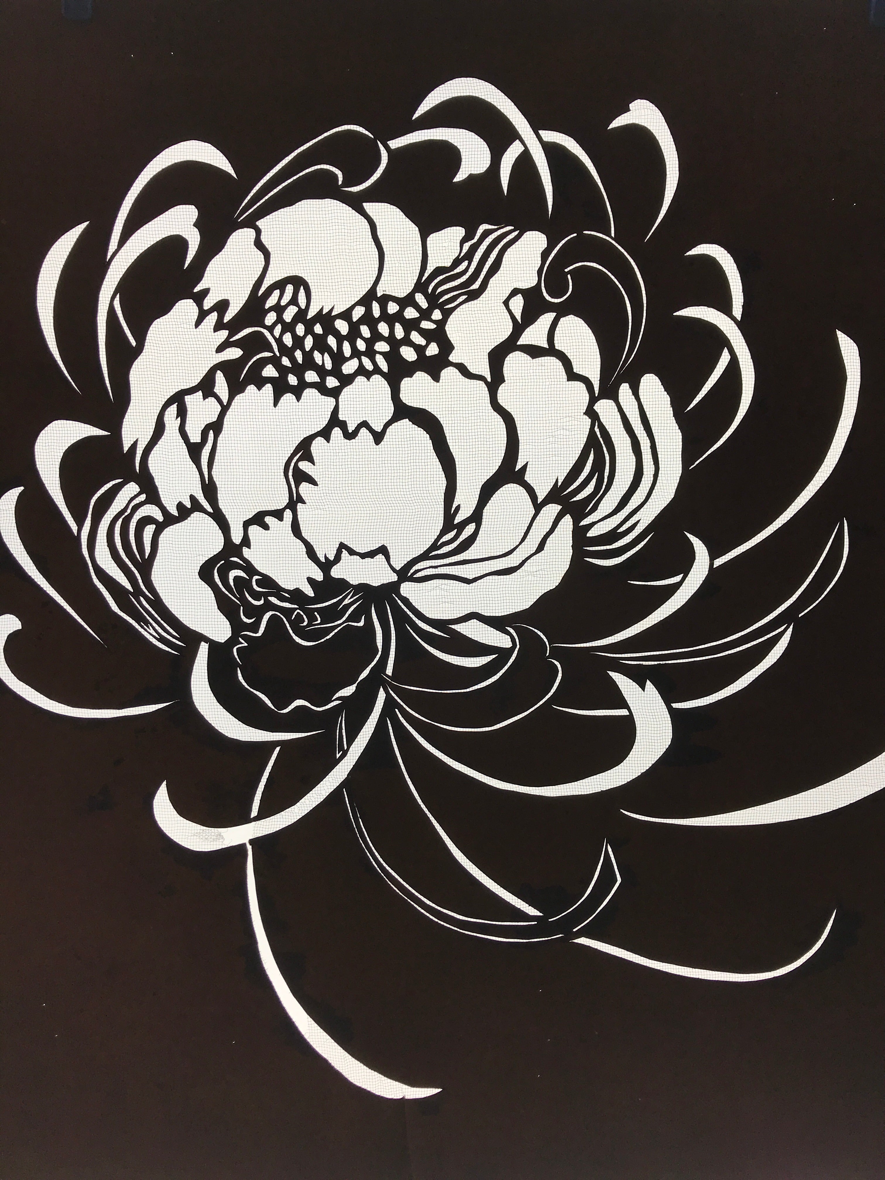 Antique Japanese Katagami Kimono Paper Stencil Katazome Chrysanthemum 4Y581