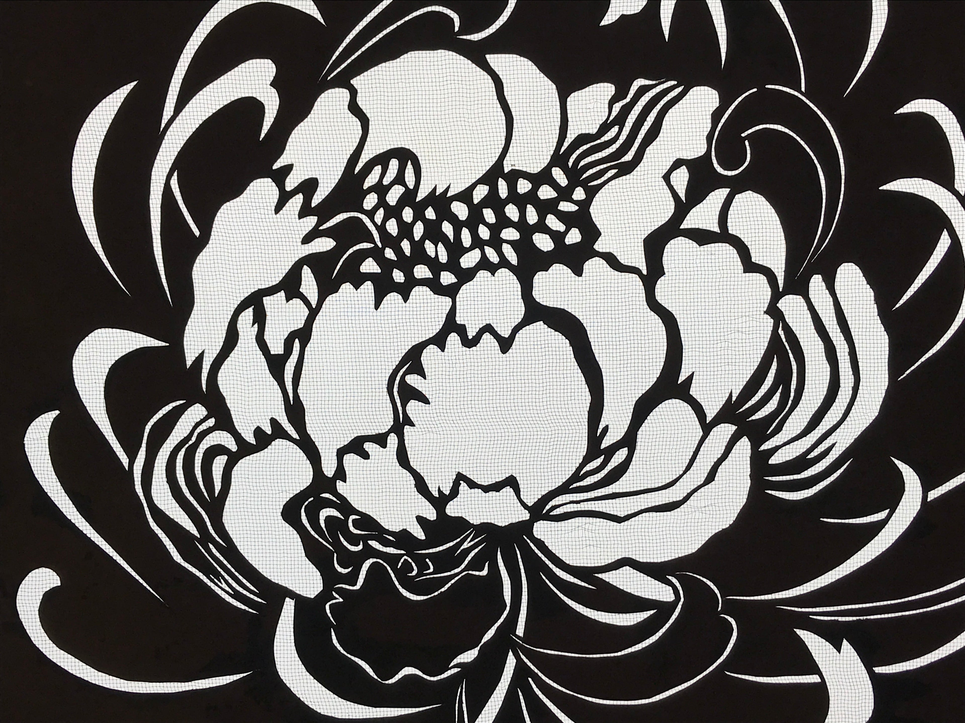 Antique Japanese Katagami Kimono Paper Stencil Katazome Chrysanthemum 4Y581