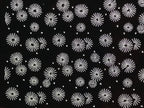 Antique Japanese Katagami Kimono Paper Stencil Katazome Floral Pattern 4Y667