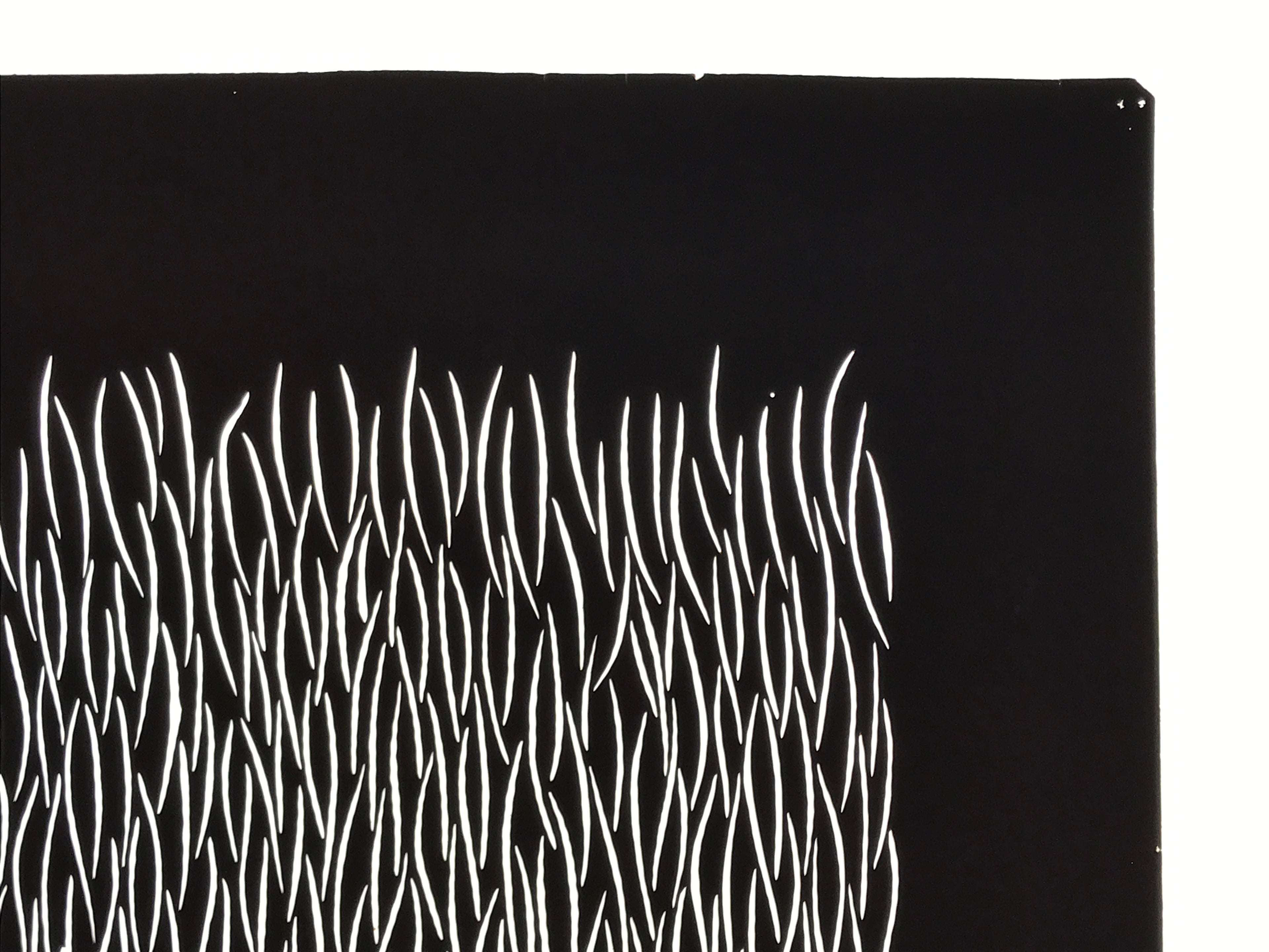 Antique Japanese Katagami Kimono Paper Stencil Katazome Grass Plant Design 4Y658