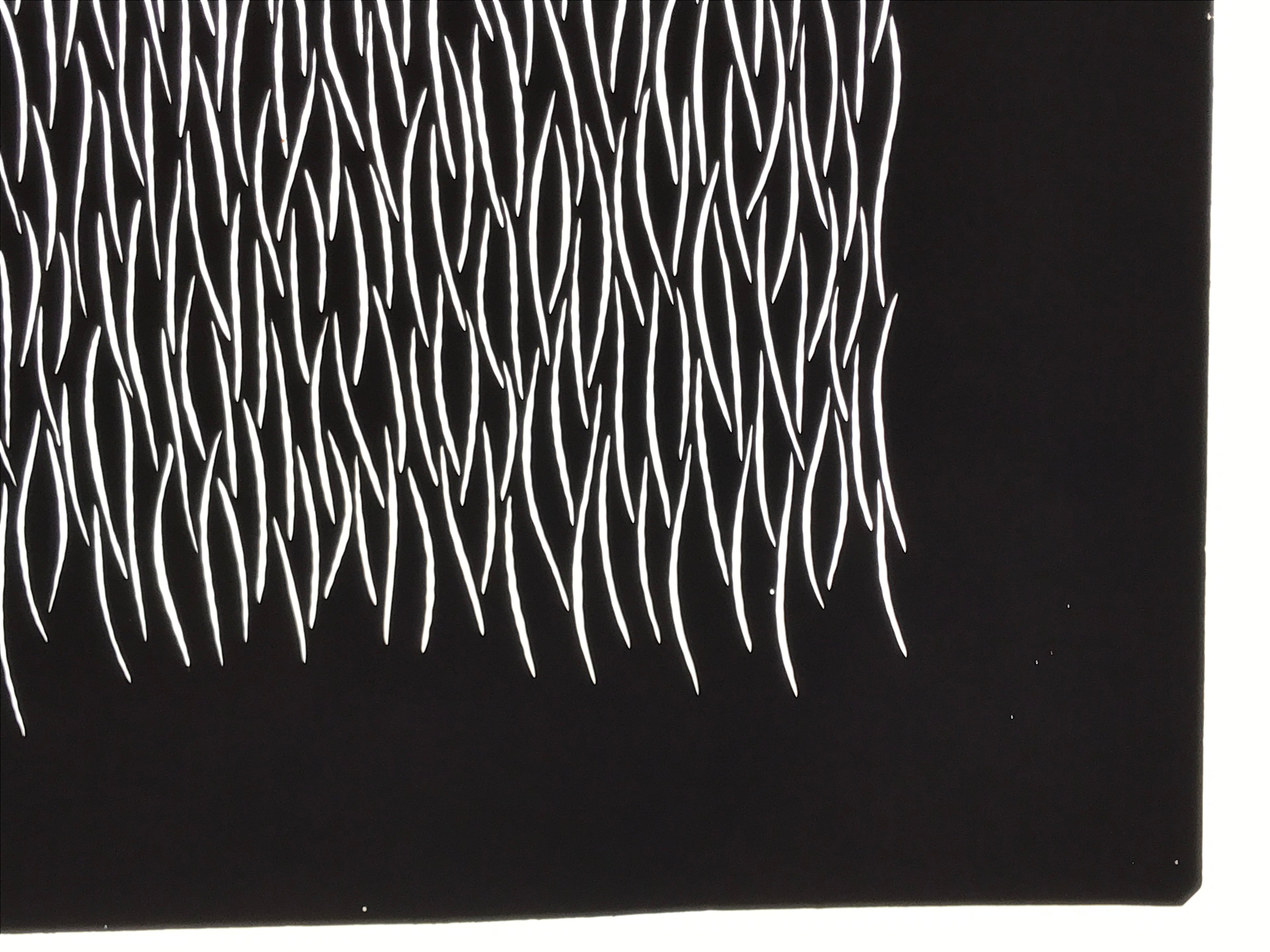 Antique Japanese Katagami Kimono Paper Stencil Katazome Grass Plant Design 4Y658