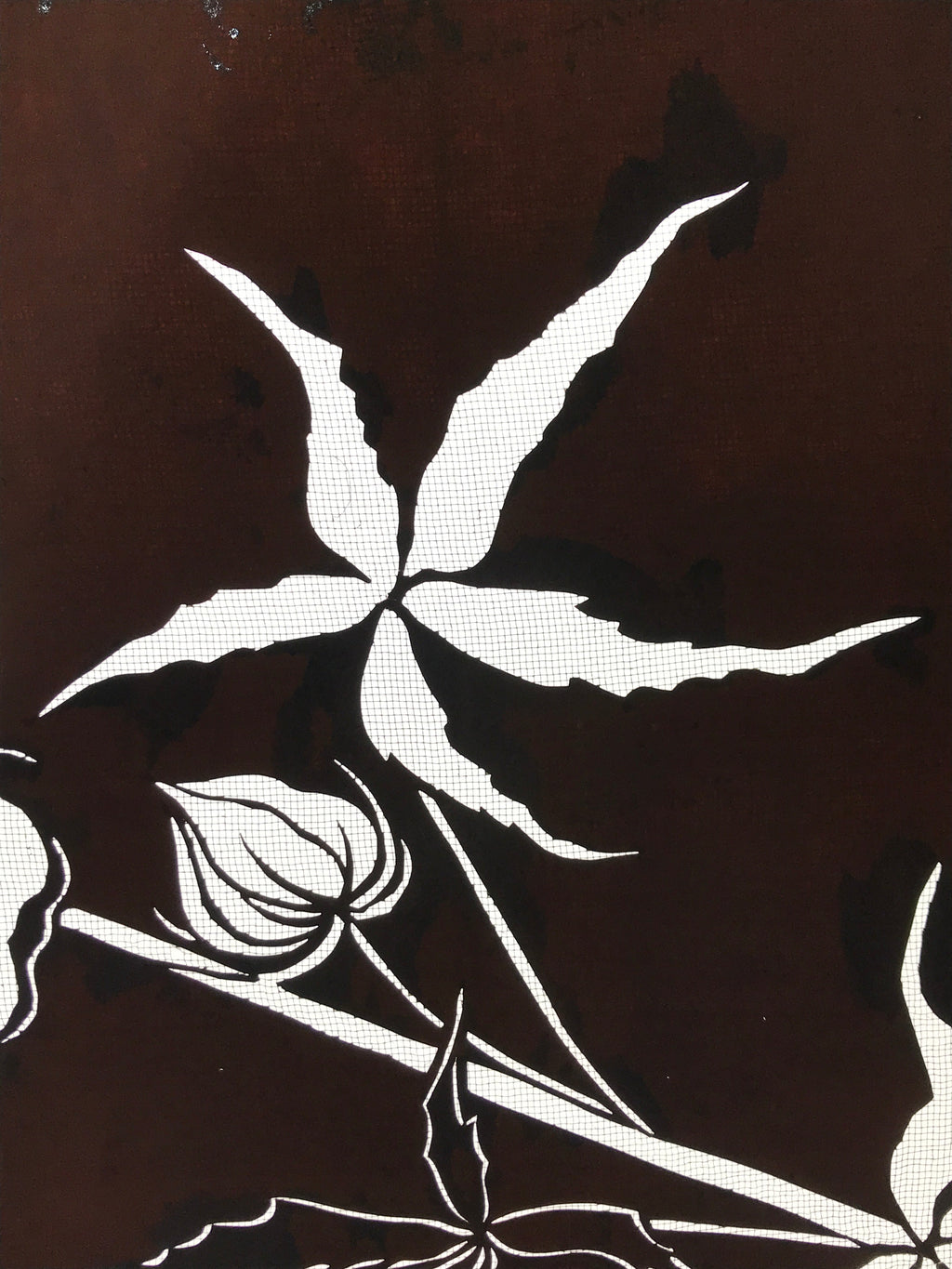 Antique Japanese Katagami Kimono Paper Stencil Katazome Hibiscus Flowers 4Y571