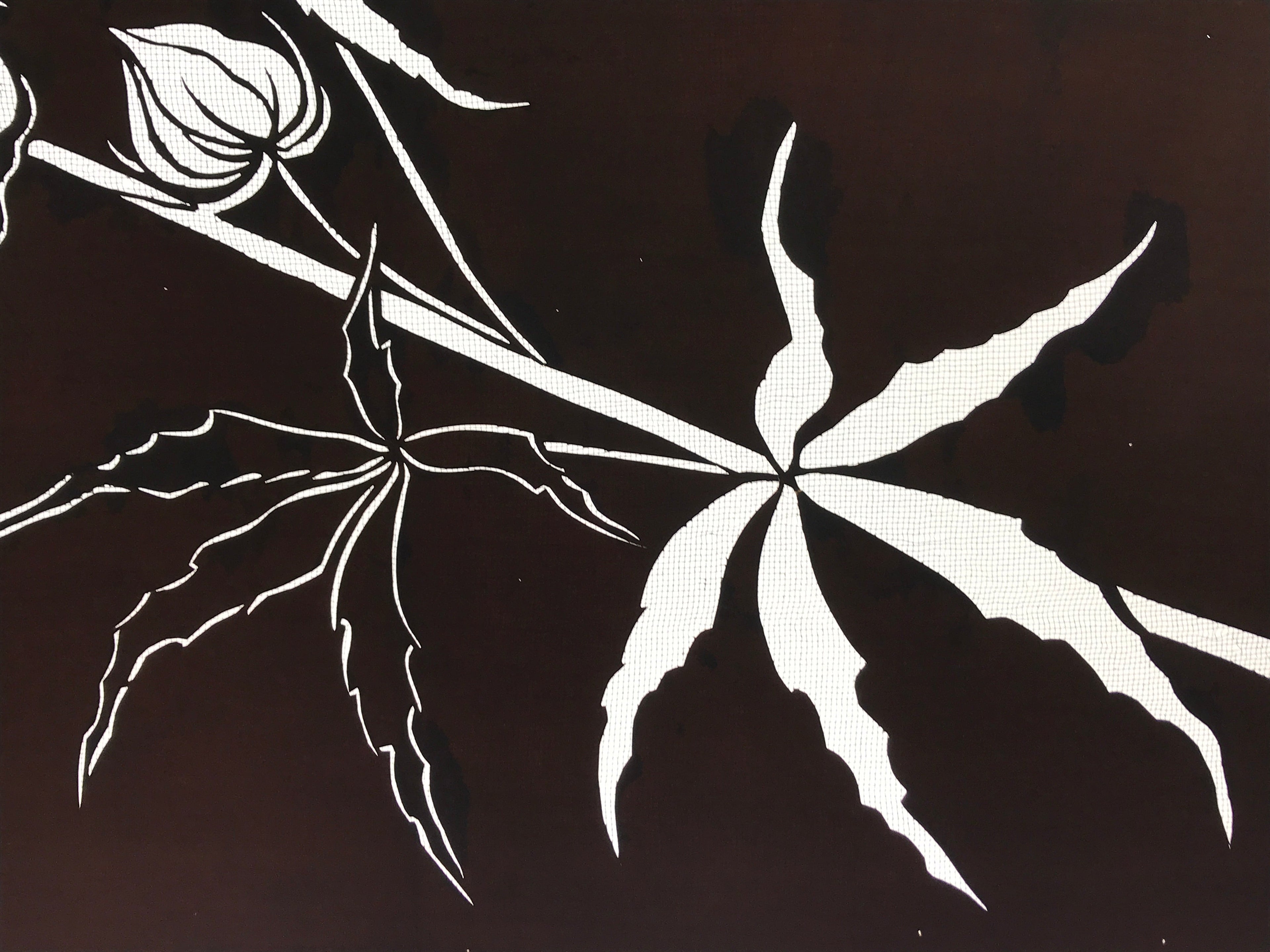 Antique Japanese Katagami Kimono Paper Stencil Katazome Hibiscus Flowers 4Y571