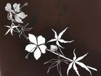 Antique Japanese Katagami Kimono Paper Stencil Katazome Hibiscus Flowers 4Y571