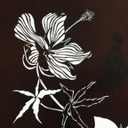 Antique Japanese Katagami Kimono Paper Stencil Katazome Hibiscus Flowers 4Y571