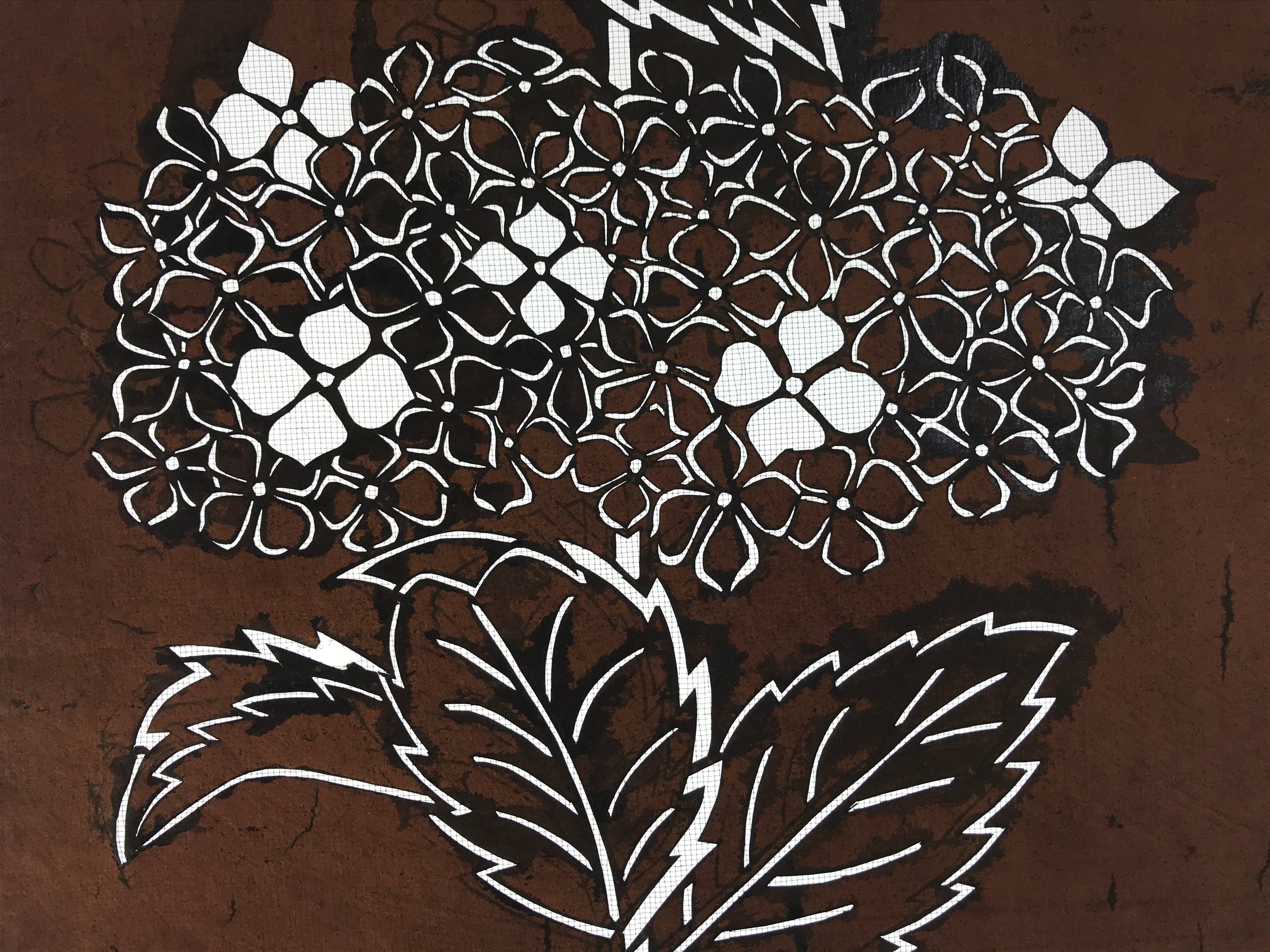 Antique Japanese Katagami Kimono Paper Stencil Katazome Hydrangea Ajisai 4Y524