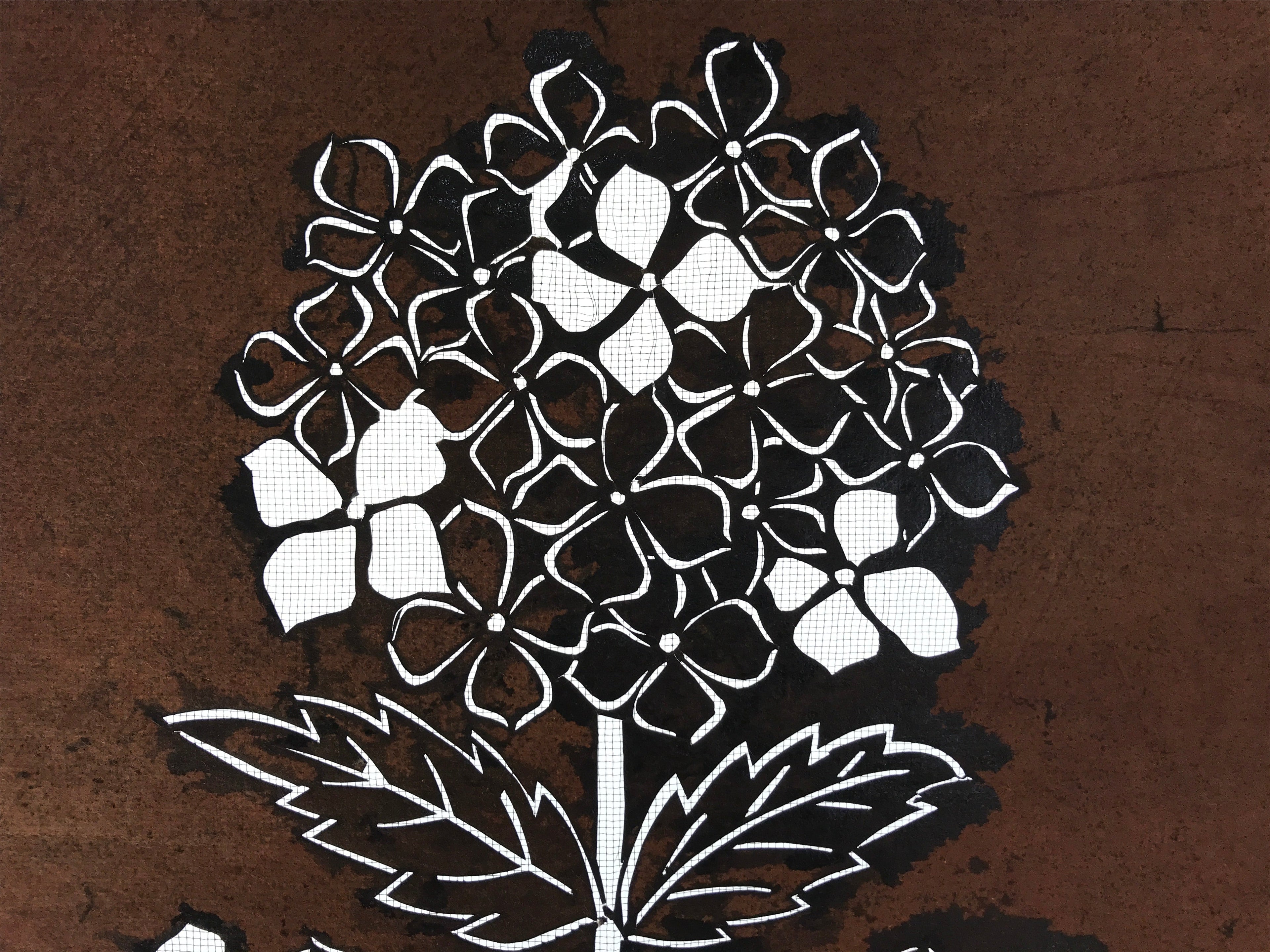 Antique Japanese Katagami Kimono Paper Stencil Katazome Hydrangea Ajisai 4Y524