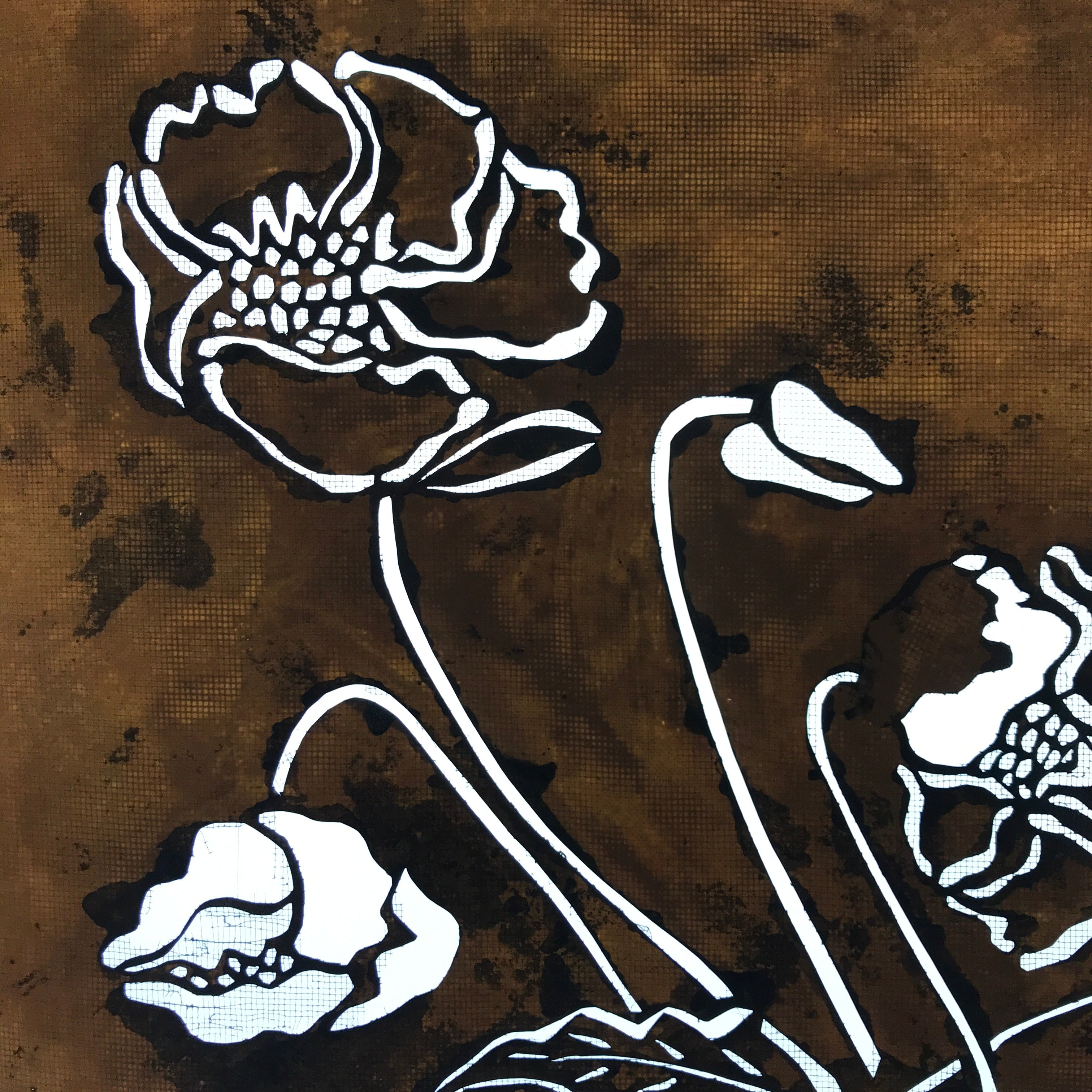 Antique Japanese Katagami Kimono Paper Stencil Katazome Keshi Poppy 4Y550