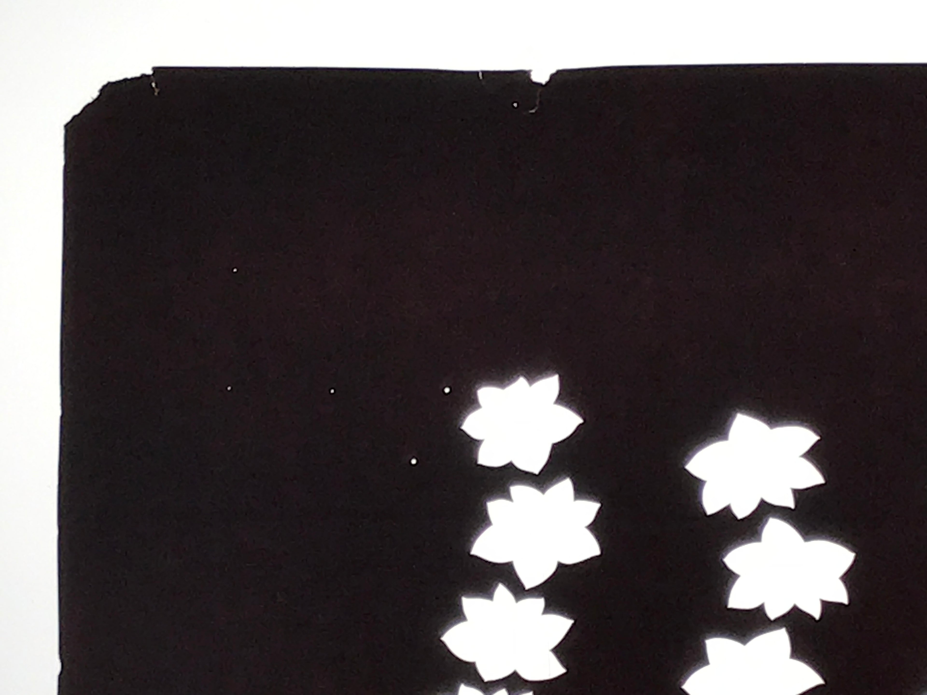 Antique Japanese Katagami Kimono Paper Stencil Katazome Momiji Maple Leaf 4Y654