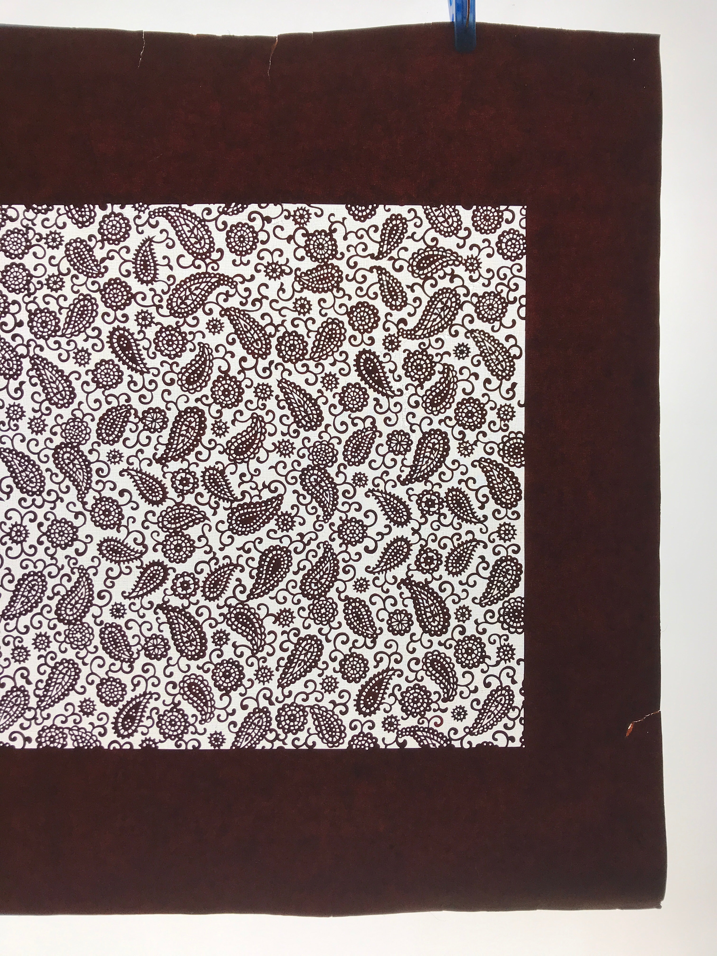 Antique Japanese Katagami Kimono Paper Stencil Katazome Paisley Vines 4Y585