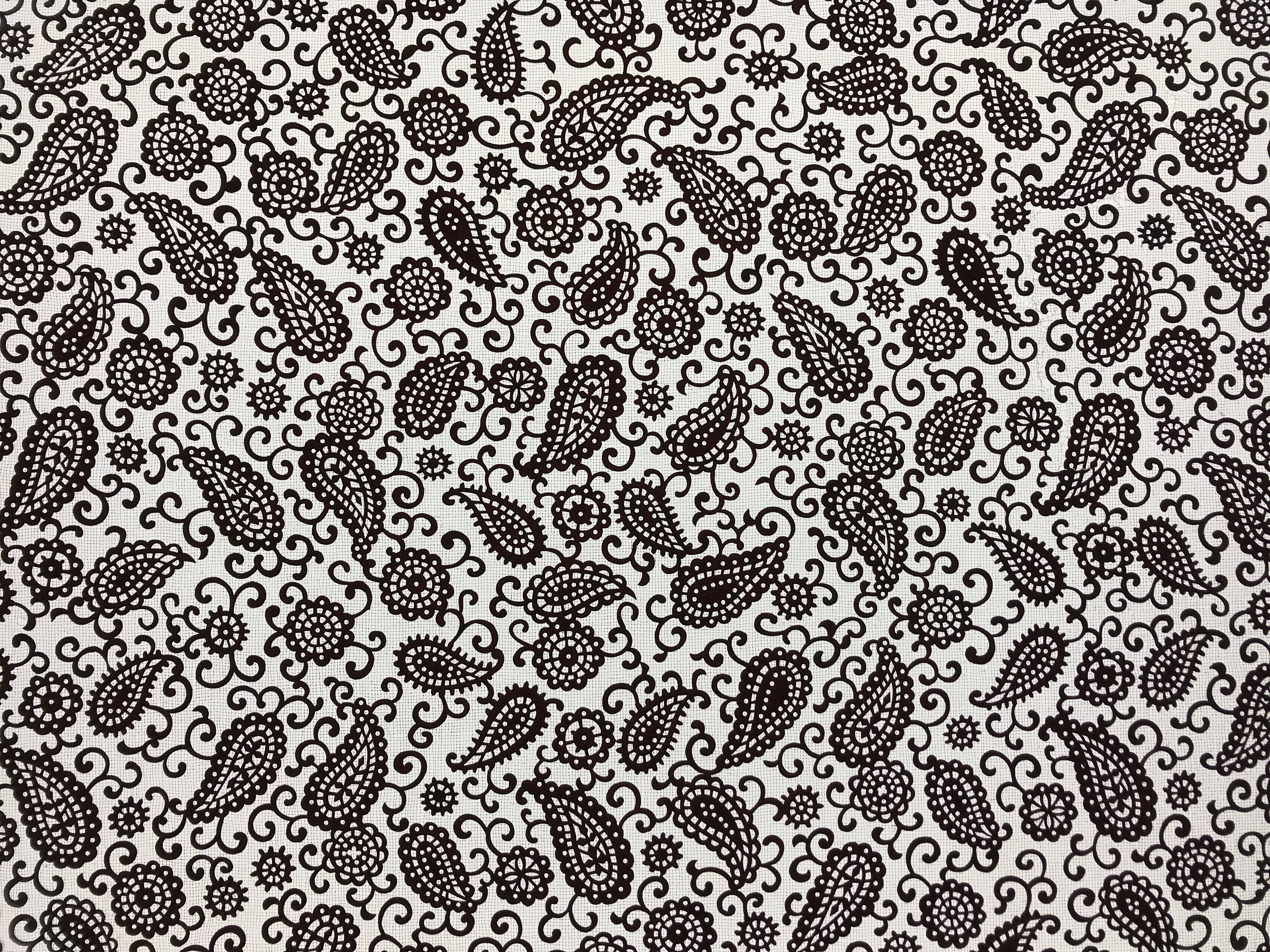 Antique Japanese Katagami Kimono Paper Stencil Katazome Paisley Vines 4Y585