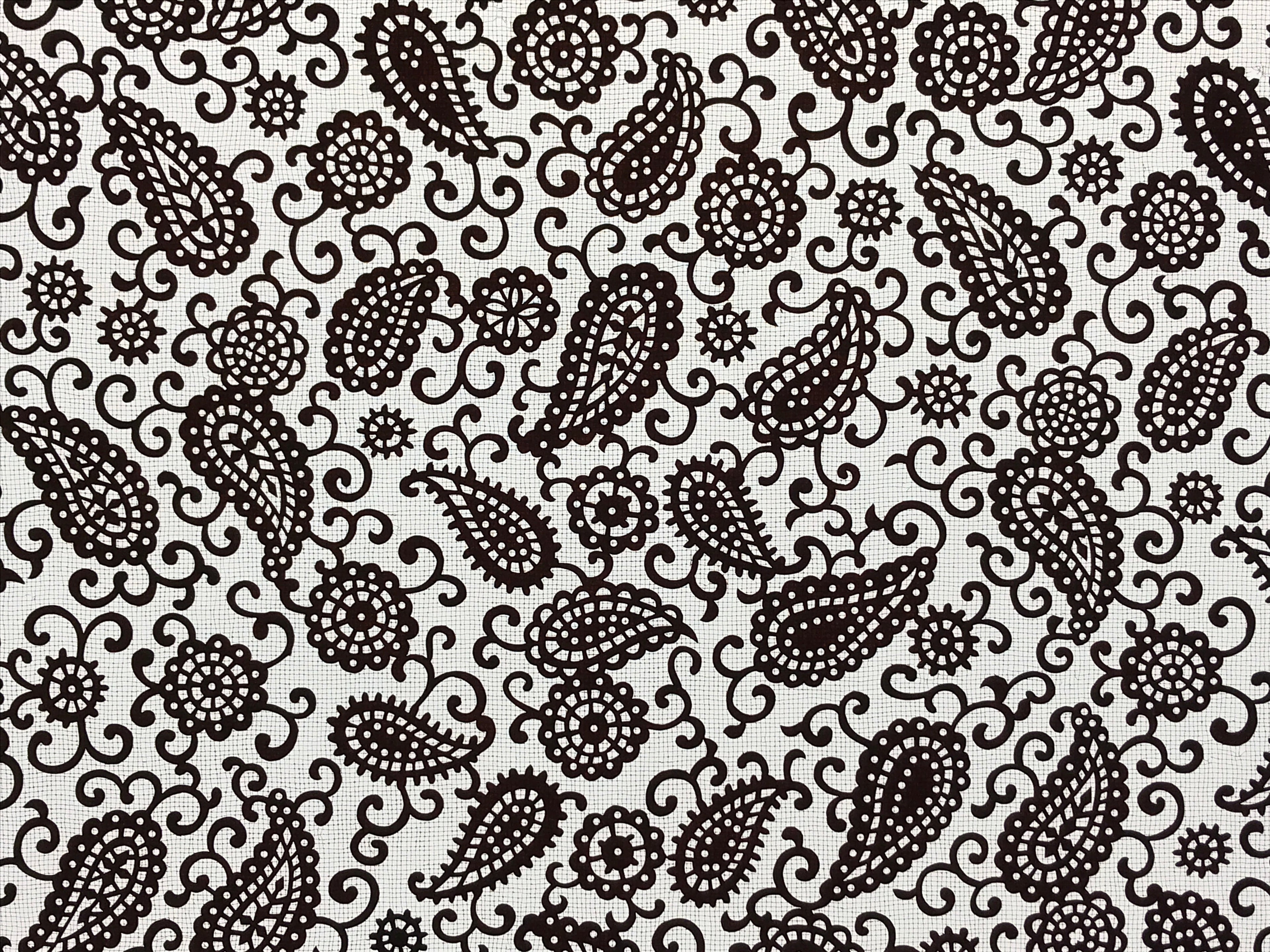 Antique Japanese Katagami Kimono Paper Stencil Katazome Paisley Vines 4Y585
