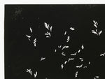 Antique Japanese Katagami Kimono Paper Stencil Katazome Plant Leaf Design 4Y693