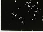 Antique Japanese Katagami Kimono Paper Stencil Katazome Plant Leaf Design 4Y693
