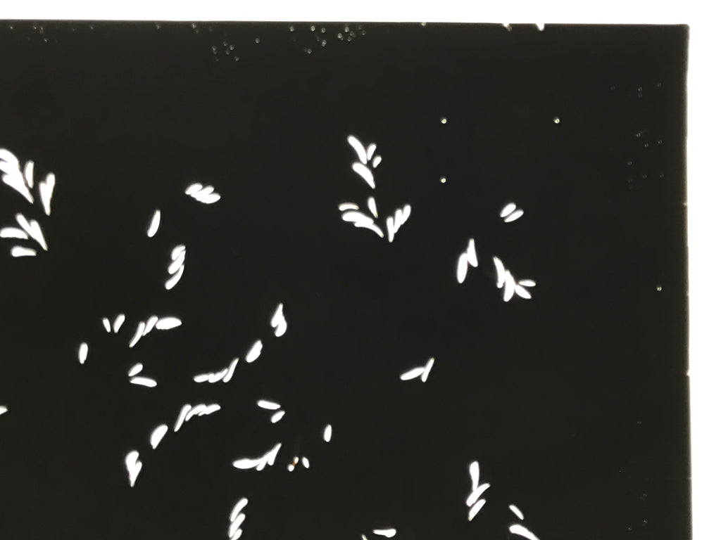 Antique Japanese Katagami Kimono Paper Stencil Katazome Plant Leaf Design 4Y693