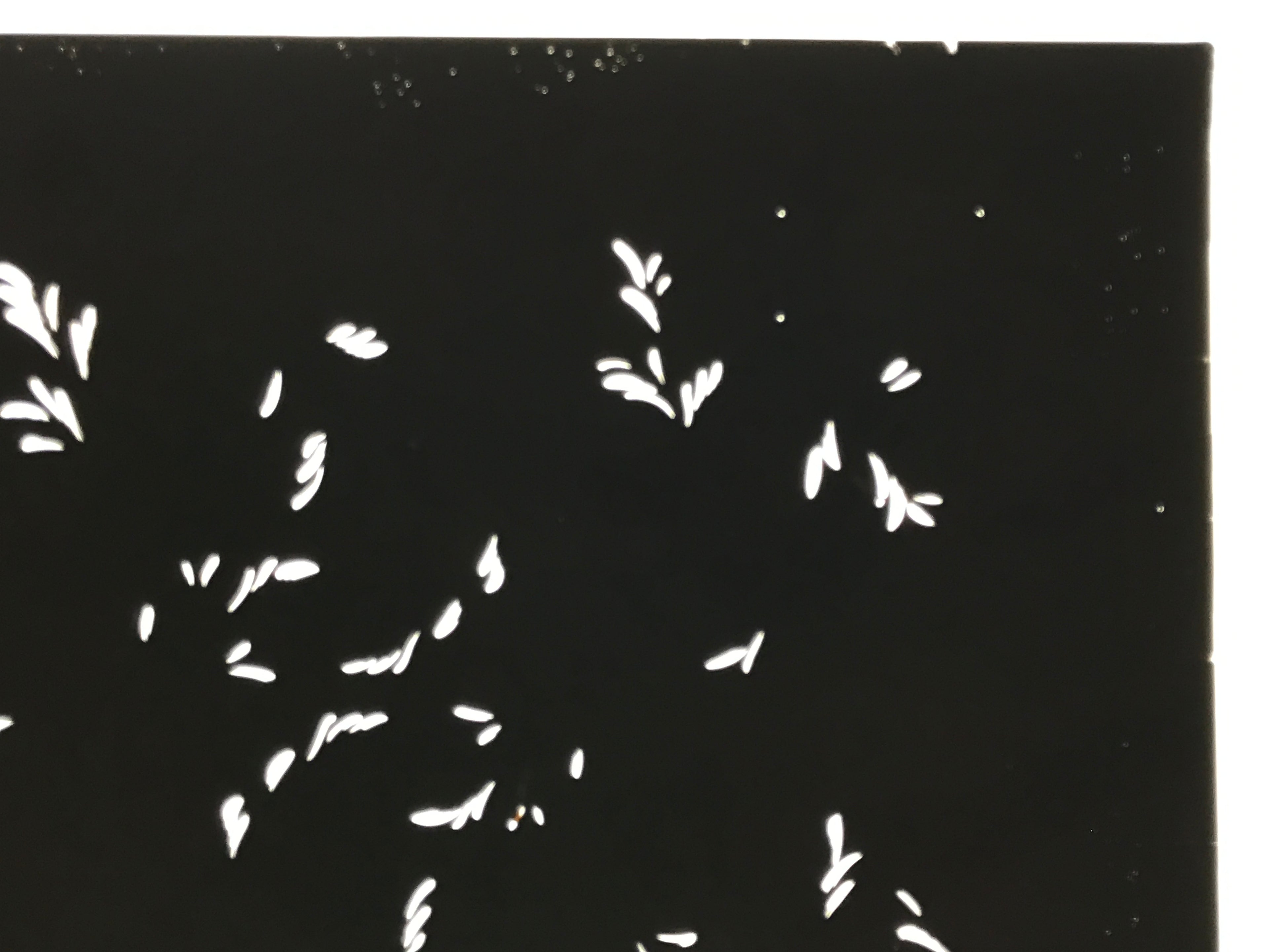 Antique Japanese Katagami Kimono Paper Stencil Katazome Plant Leaf Design 4Y693