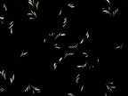 Antique Japanese Katagami Kimono Paper Stencil Katazome Plant Leaf Design 4Y693