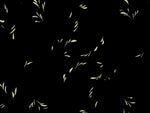 Antique Japanese Katagami Kimono Paper Stencil Katazome Plant Leaf Design 4Y693