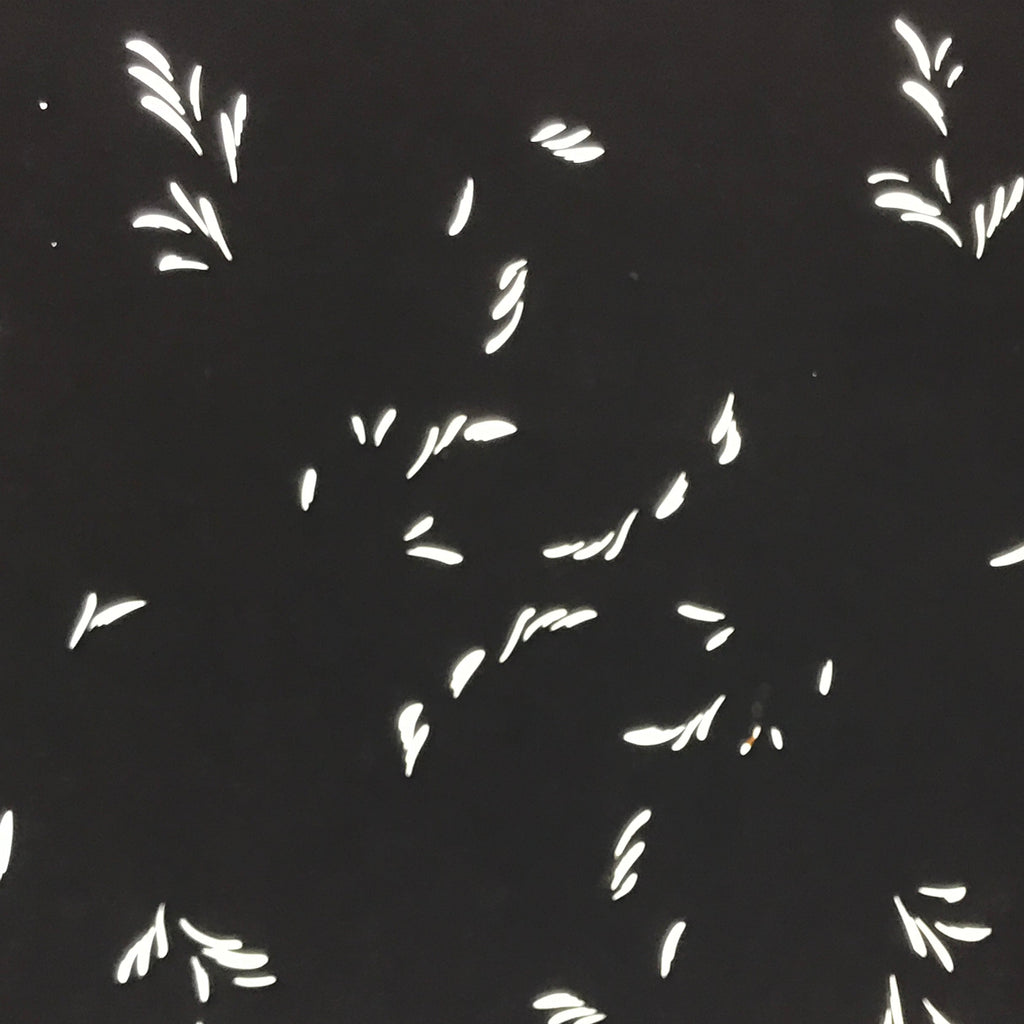 Antique Japanese Katagami Kimono Paper Stencil Katazome Plant Leaf Design 4Y693