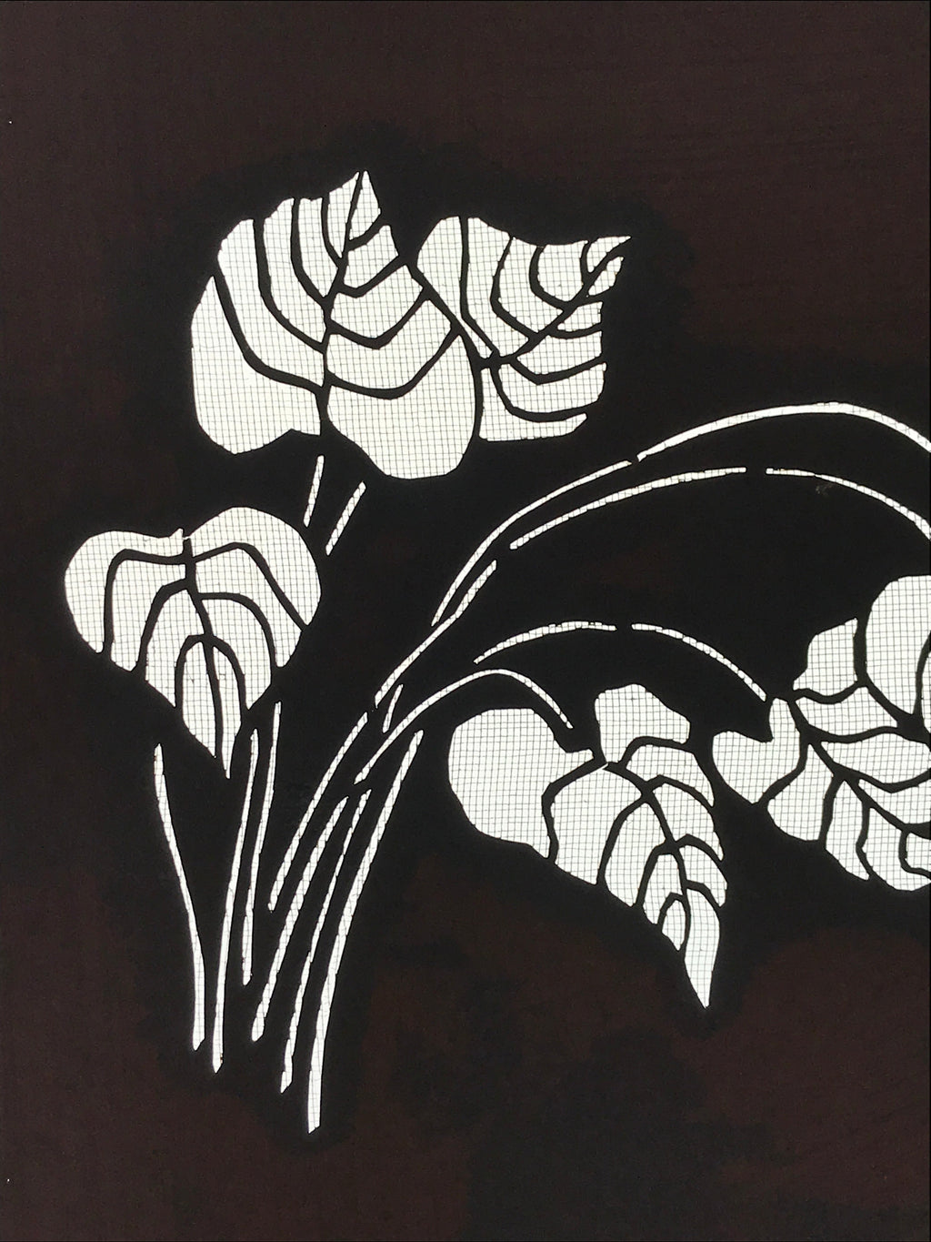Antique Japanese Katagami Kimono Paper Stencil Katazome Pothos Ivy Tsuta 4Y530