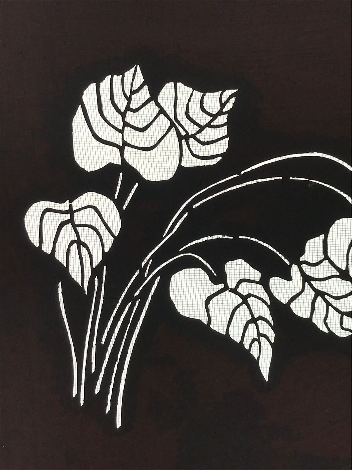 Antique Japanese Katagami Kimono Paper Stencil Katazome Pothos Ivy Tsuta 4Y530