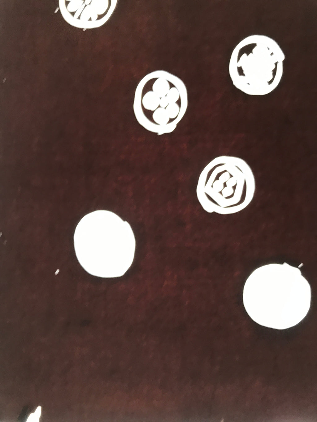 Antique Japanese Katagami Kimono Paper Stencil Katazome Round Food Design 4Y650