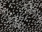 Antique Japanese Katagami Kimono Paper Stencil Katazome Small Flowers 4Y574