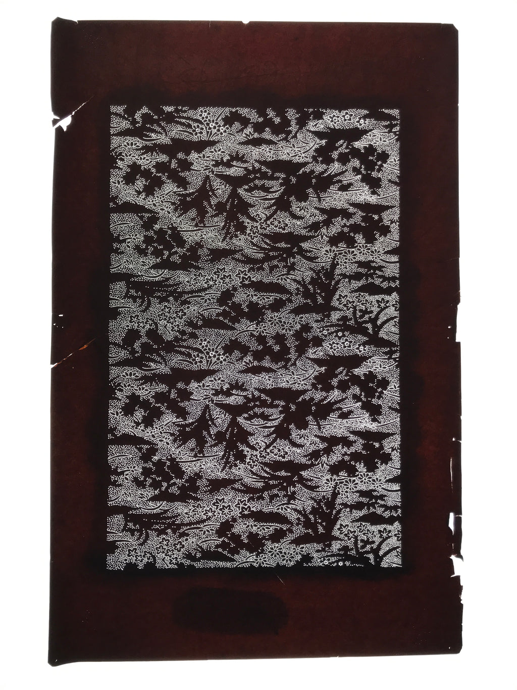 Antique Japanese Katagami Kimono Paper Stencil Katazome Small Flowers Hana 4Y707