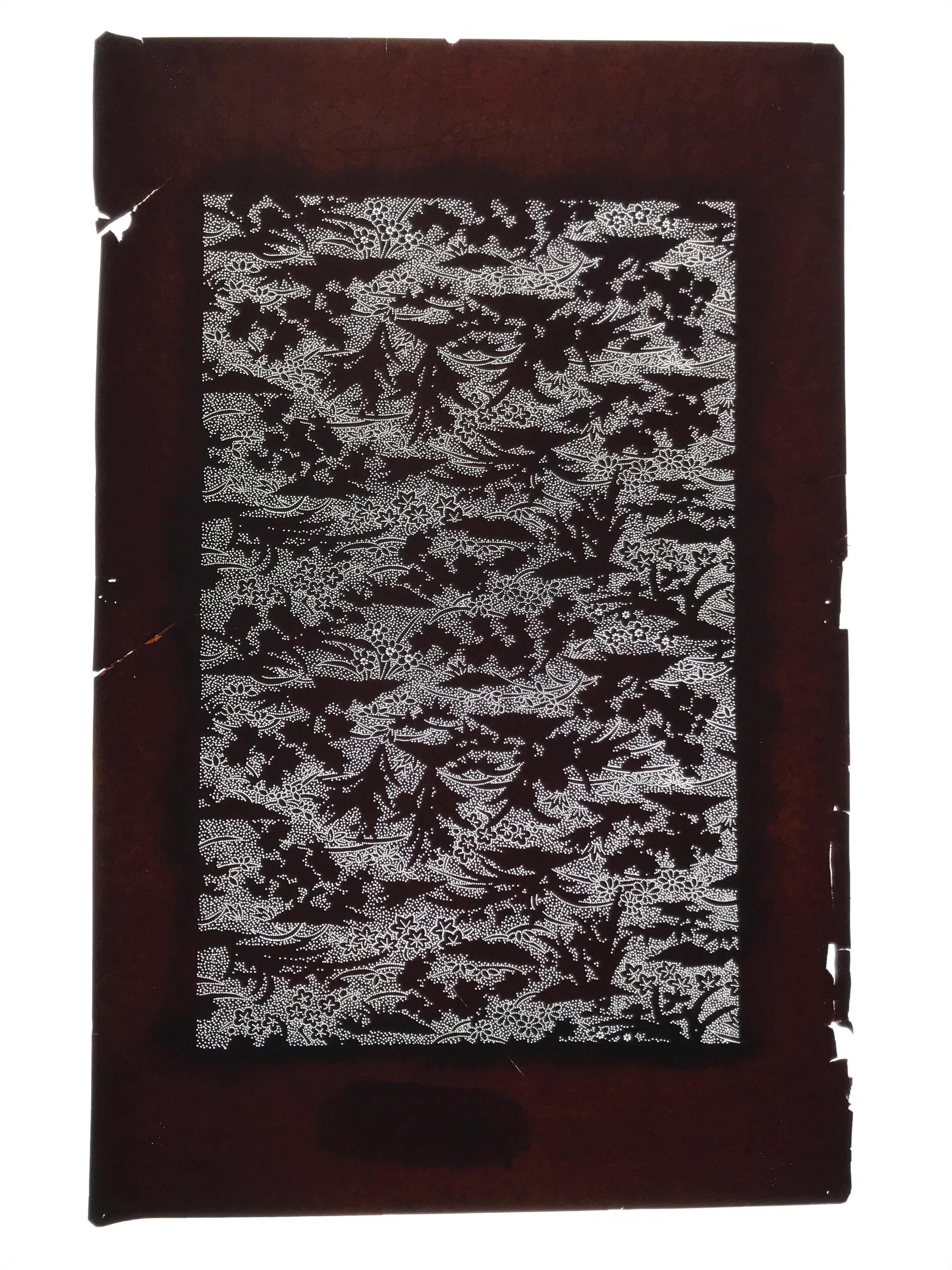 Antique Japanese Katagami Kimono Paper Stencil Katazome Small Flowers Hana 4Y707