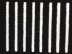 Antique Japanese Katagami Kimono Paper Stencil Katazome Wide Vertical Line 4Y689