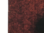 Antique Japanese Katagami Kimono Paper Stencil Uroko Triangle Snake Scales 4Y655