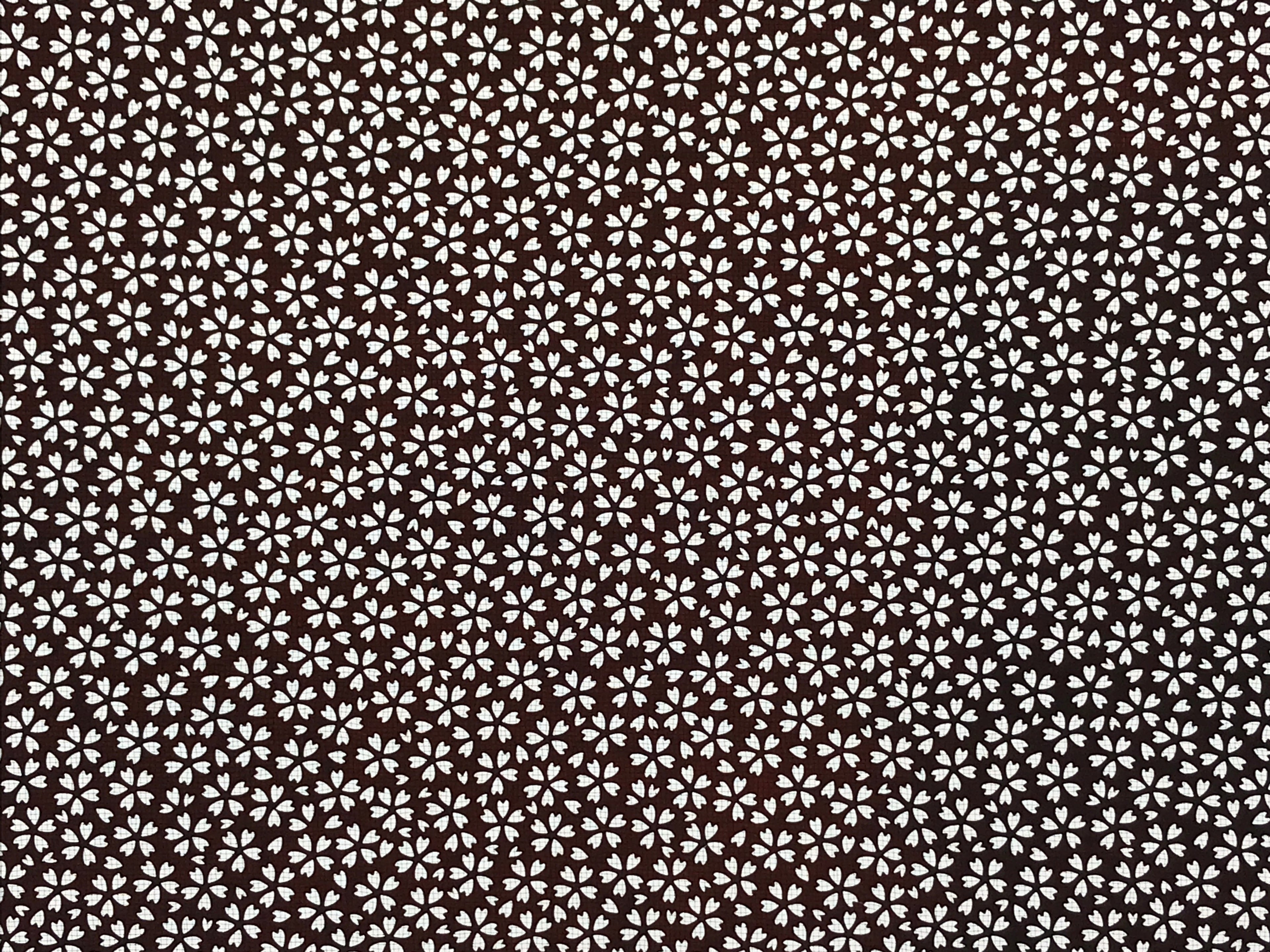 Antique Japanese Katagami Kimono Stencil Katazome Cherry Blossom Sakura 4Y519
