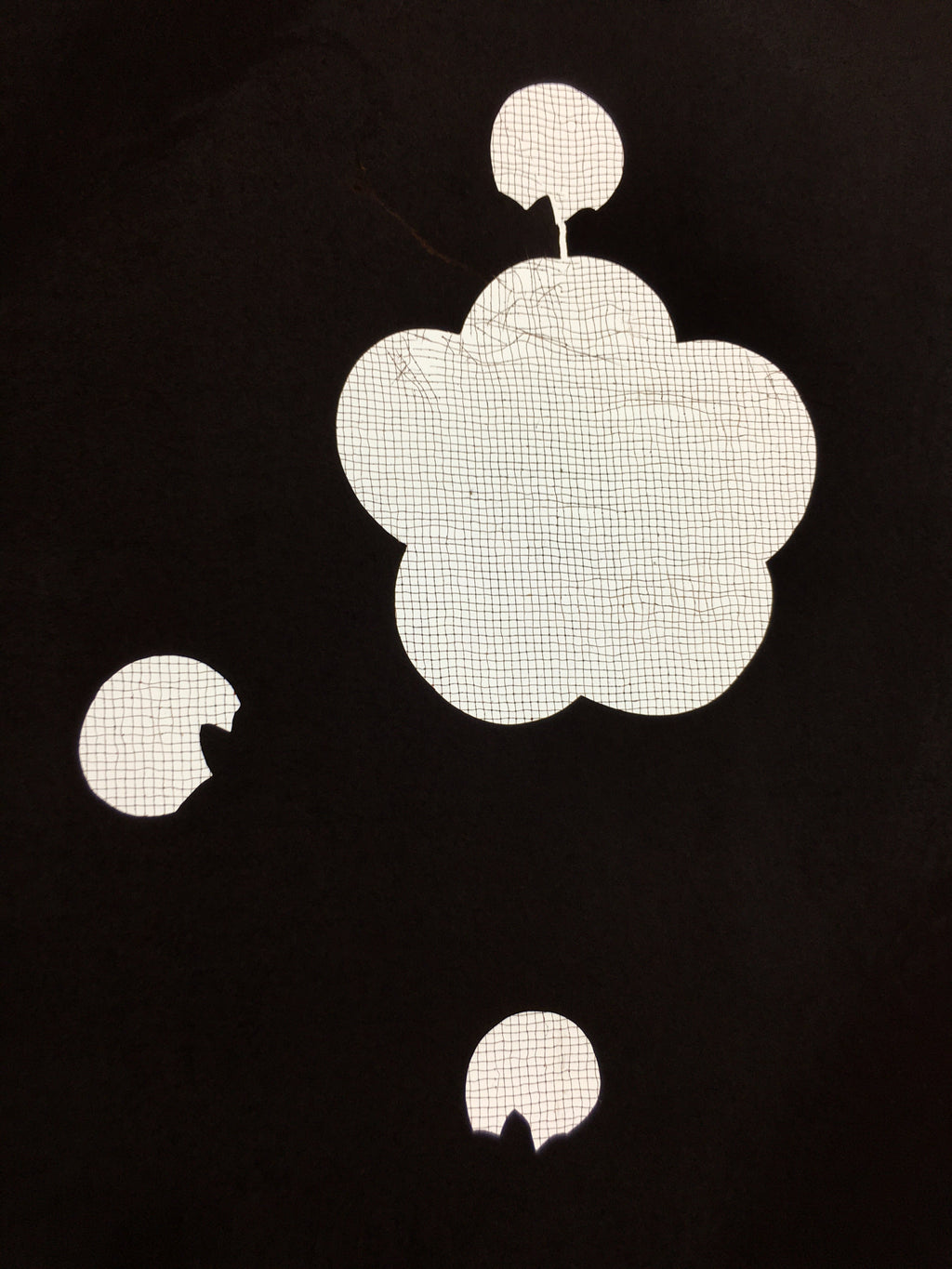 Antique Japanese Katagami Kimono Stencil Katazome Meiji Ume Plum Blossom 4Y402