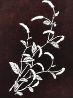 Antique Japanese Katagami Paper Kimono Stencil Chenille Plant Benihimonoki A801