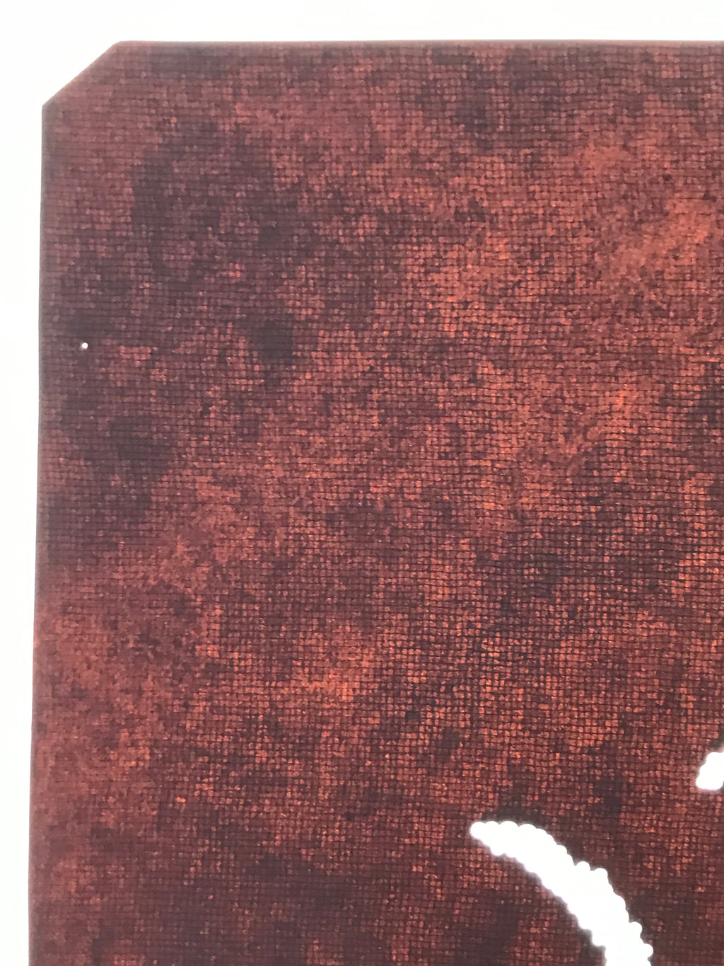 Antique Japanese Katagami Paper Kimono Stencil Chenille Plant Benihimonoki A801