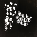 Antique Japanese Katagami Paper Kimono Stencil Katazome Background Floral C923