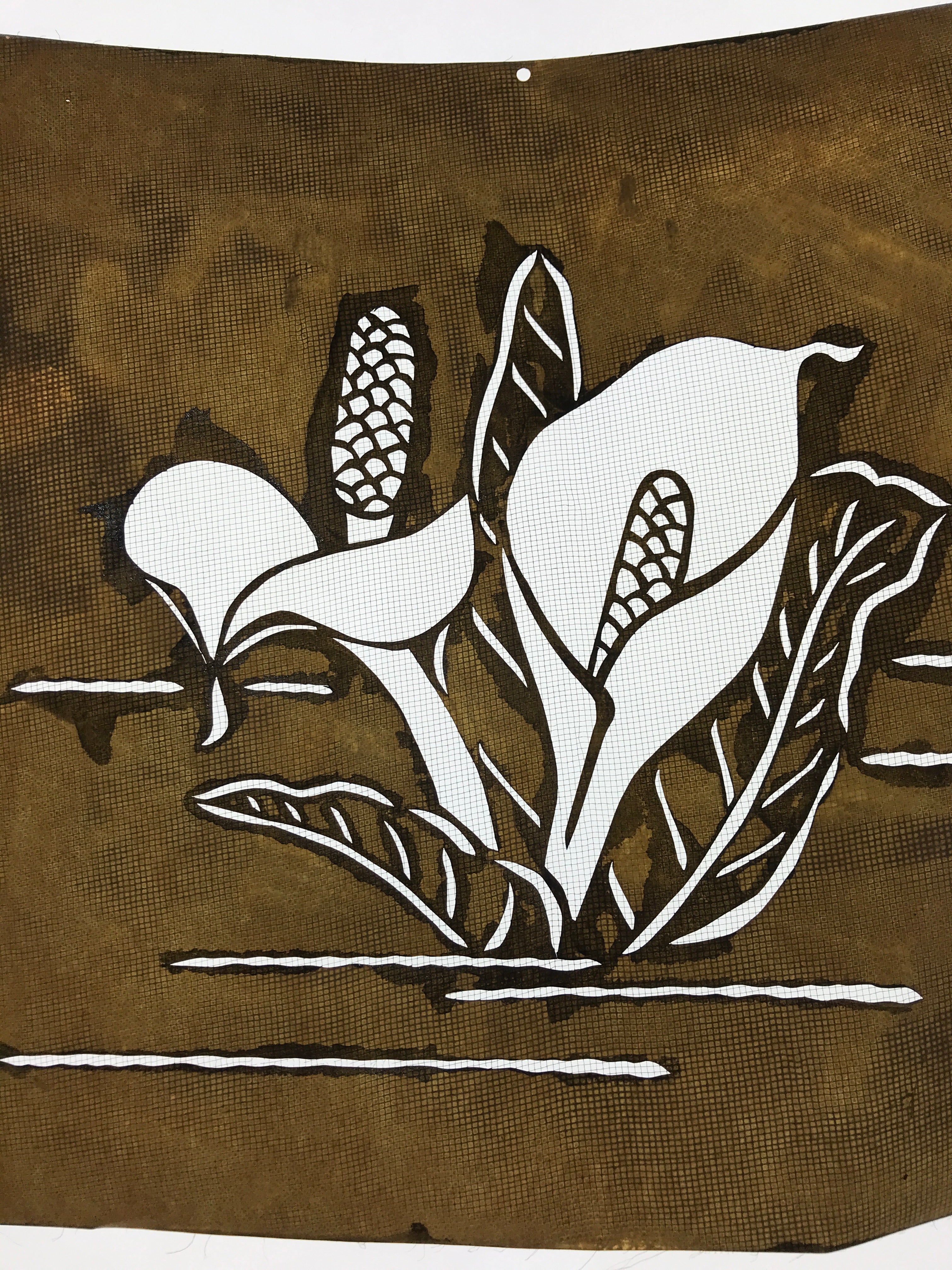 Antique Japanese Katagami Paper Kimono Stencil Katazome Calla Lily Flower A671