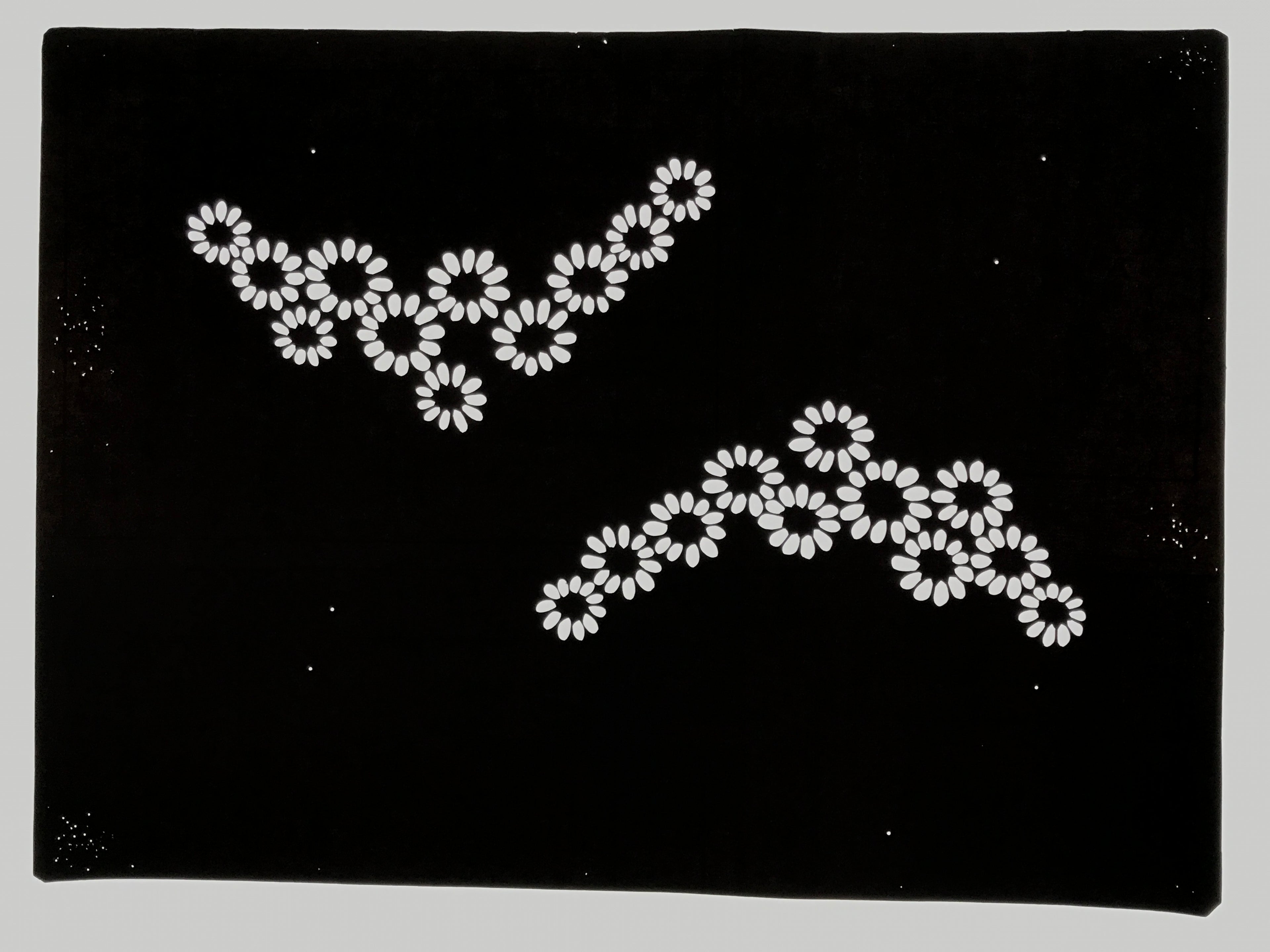 Antique Japanese Katagami Paper Kimono Stencil Katazome Chrysanthemum Kiku A839